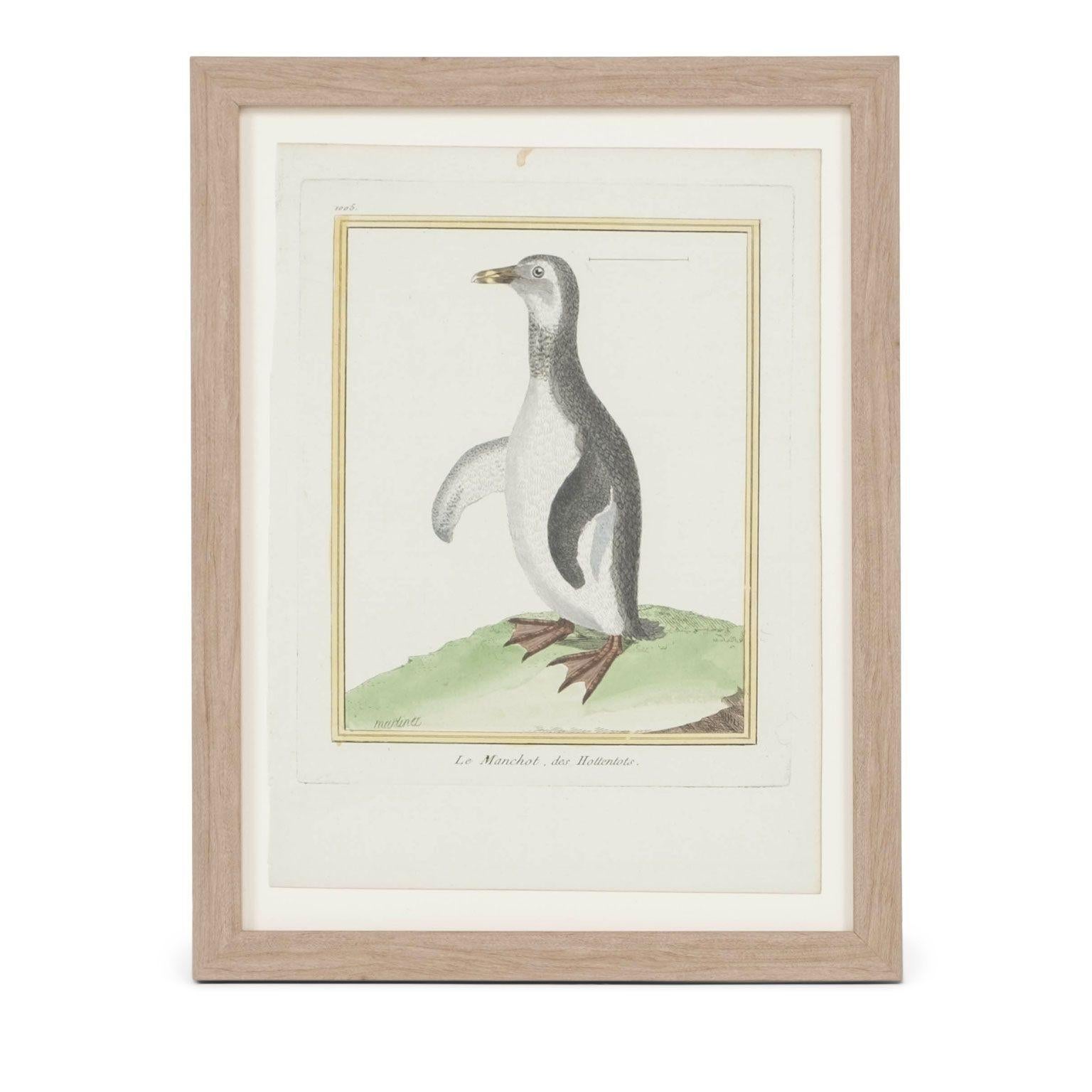 Sammlung von vier handkolorierten Vogelgravuren von François Nicolas Martinet (Neoklassisch) im Angebot