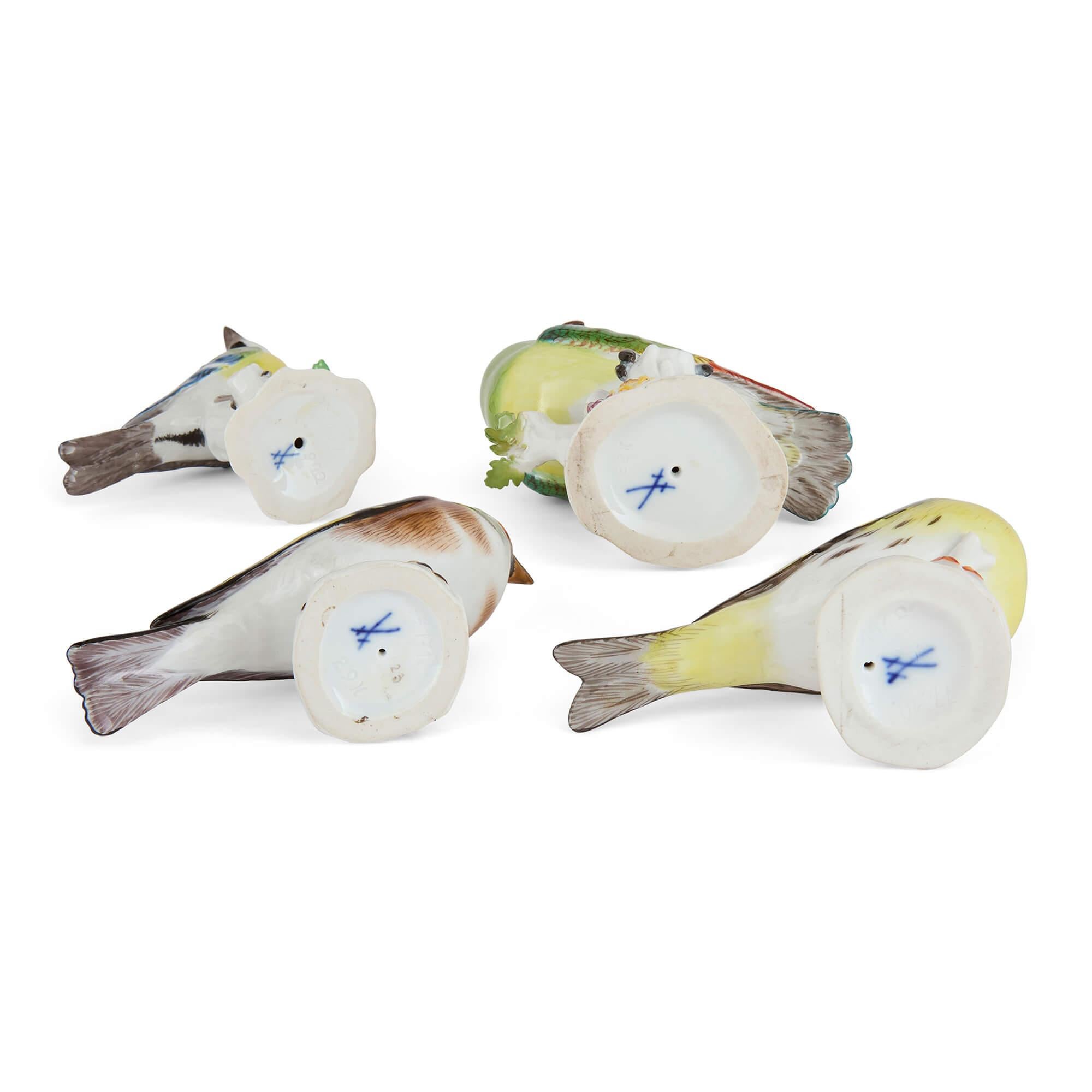 Porcellana Collection'S di quattro modelli di uccelli in Meissen Porcelain in vendita