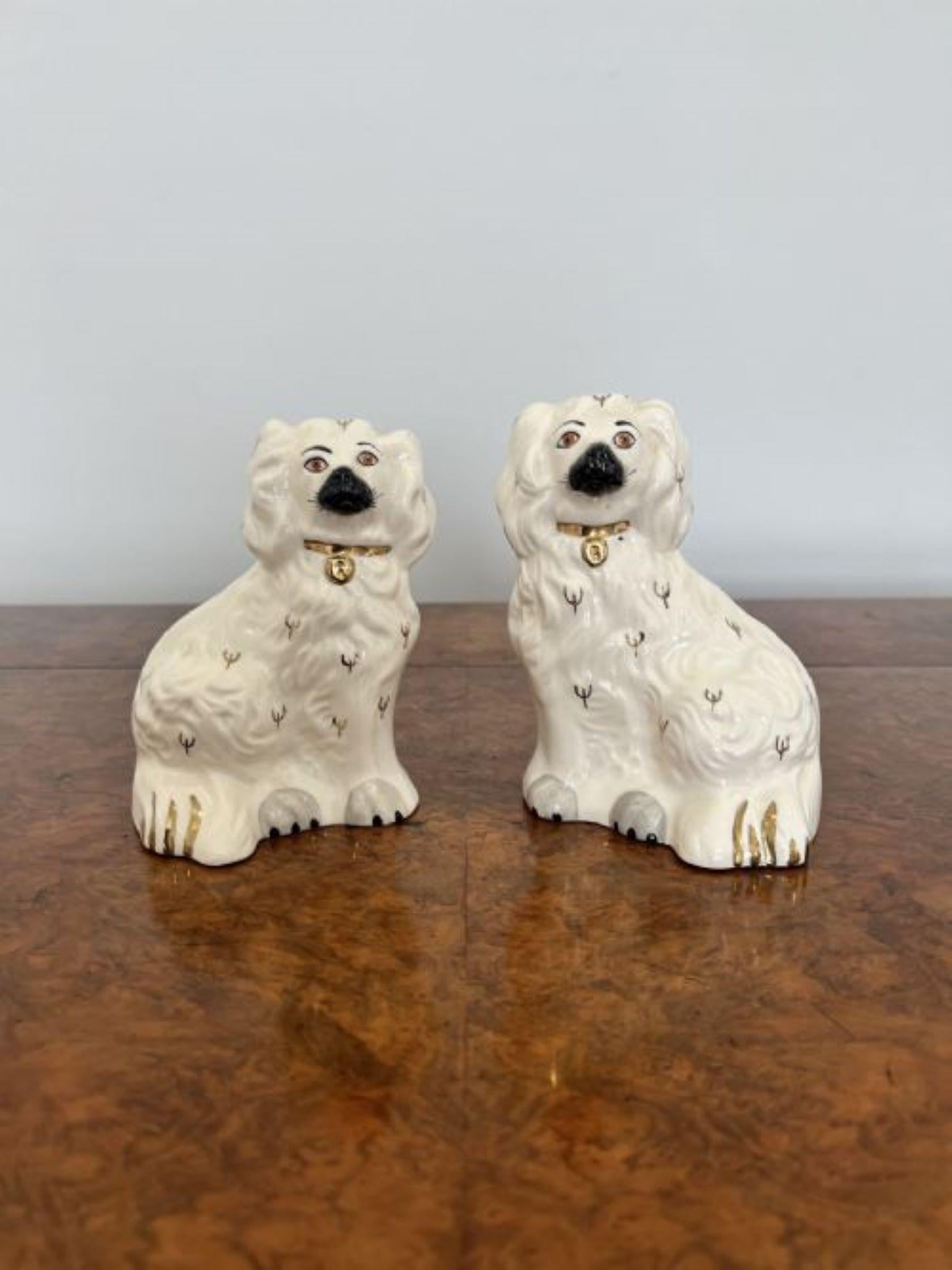 20th Century Collection of four quality Royal Dolton seated spaniels  For Sale