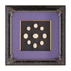 Collection of Framed Antique Italian Plaster Intaglios