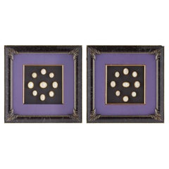 Collection of Framed Antique Italian Plaster Intaglios