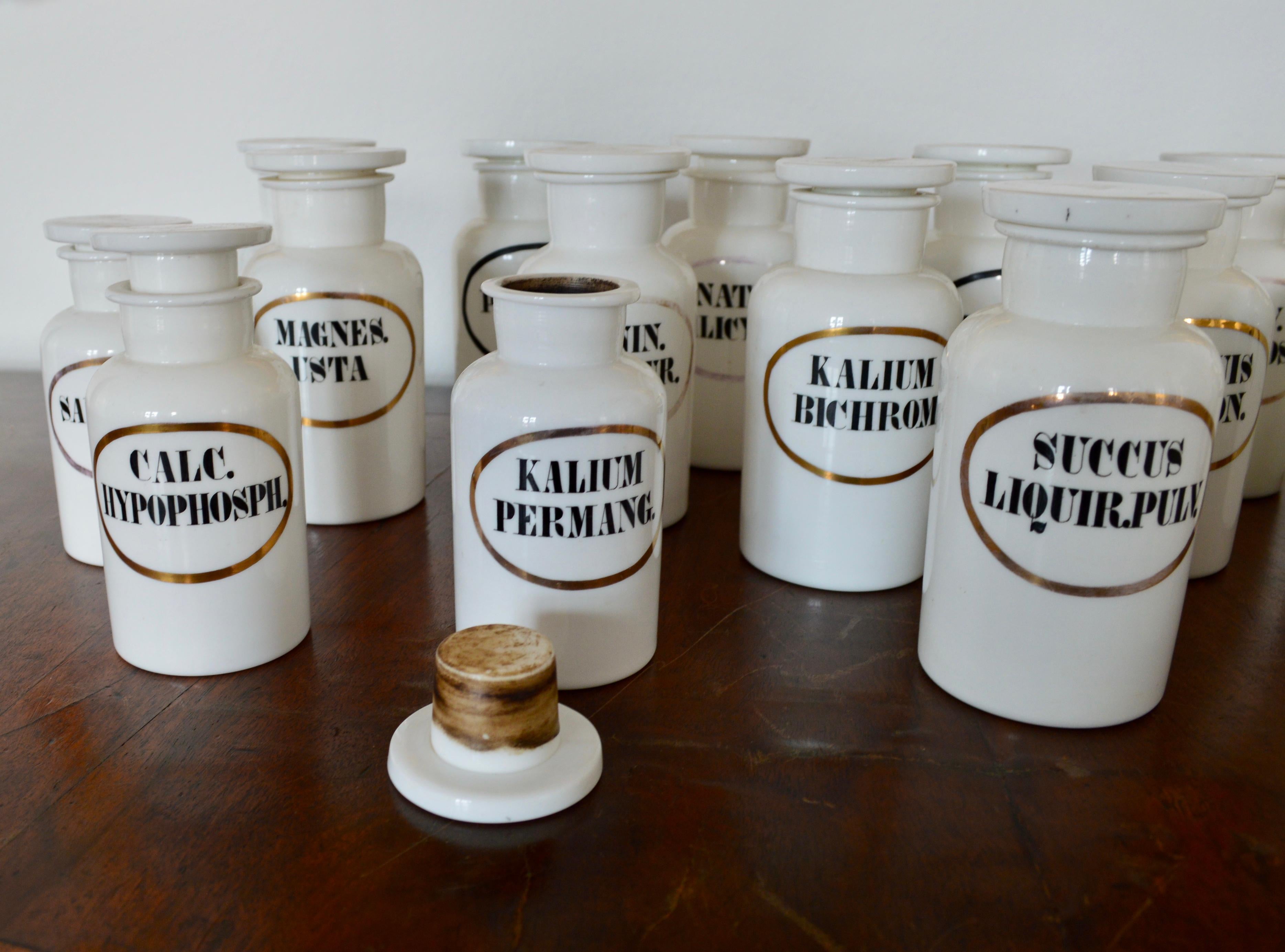 Collection de jarres d'apothicaire en opaline française en vente 3