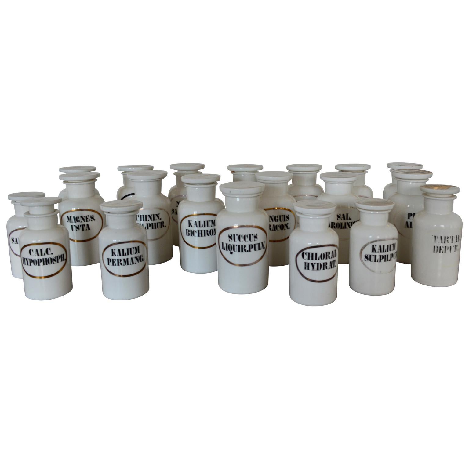 Collection de 20 pots d'apothicaire en opaline du 19ème siècle.
La collection comprend 14 grands pots et 6 petits pots.