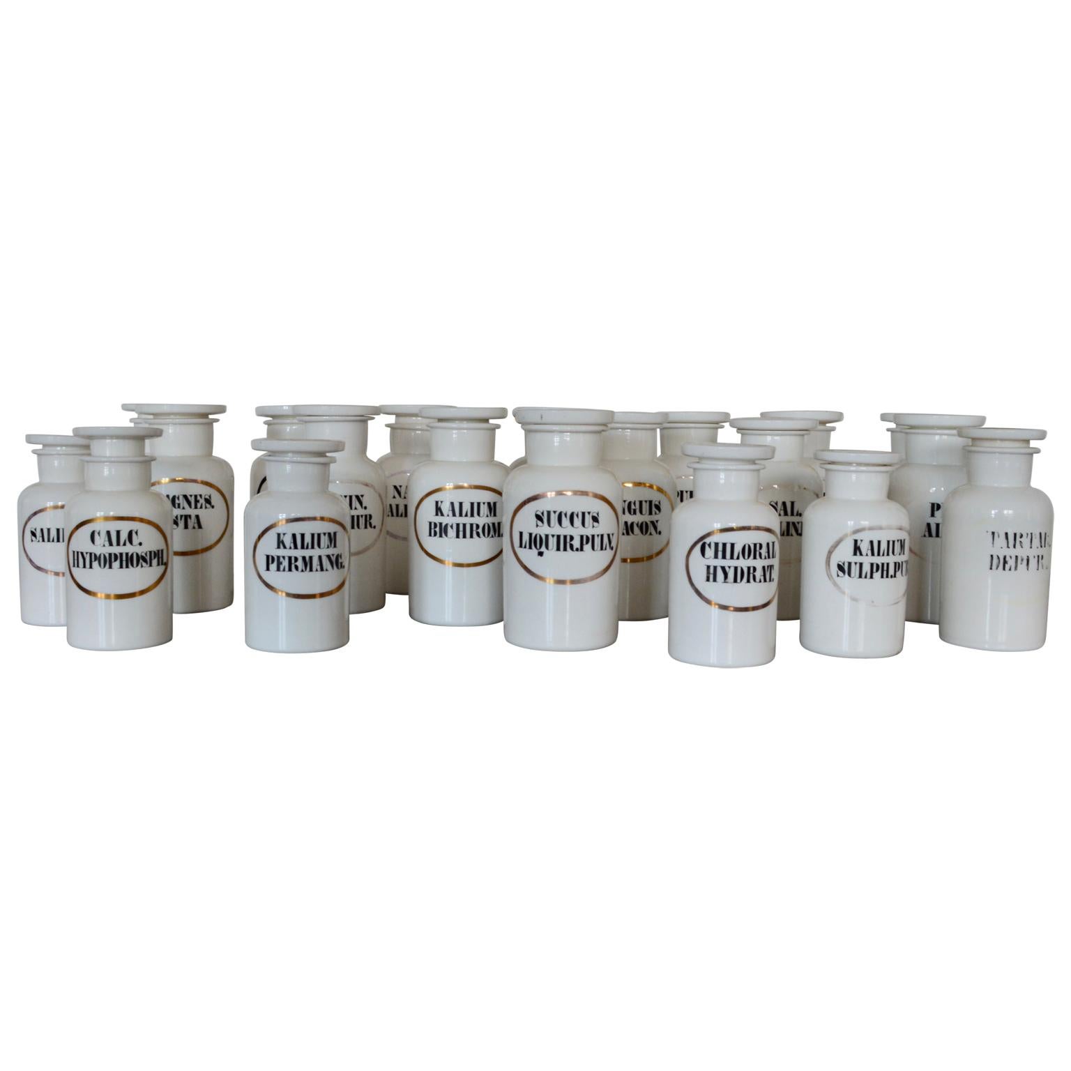 Empire Collection of French Opaline Apothecary Jars For Sale
