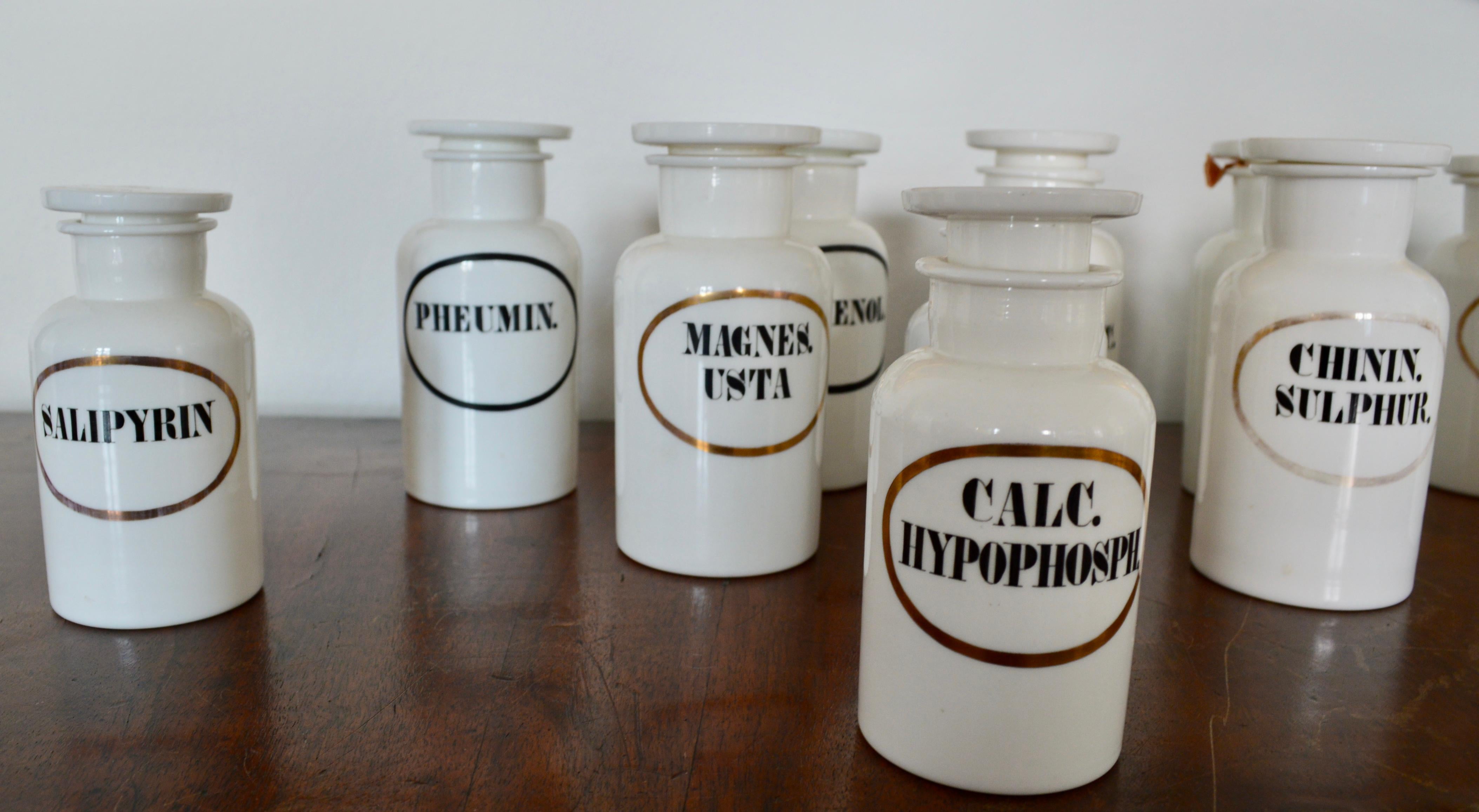 XIXe siècle Collection de jarres d'apothicaire en opaline française en vente