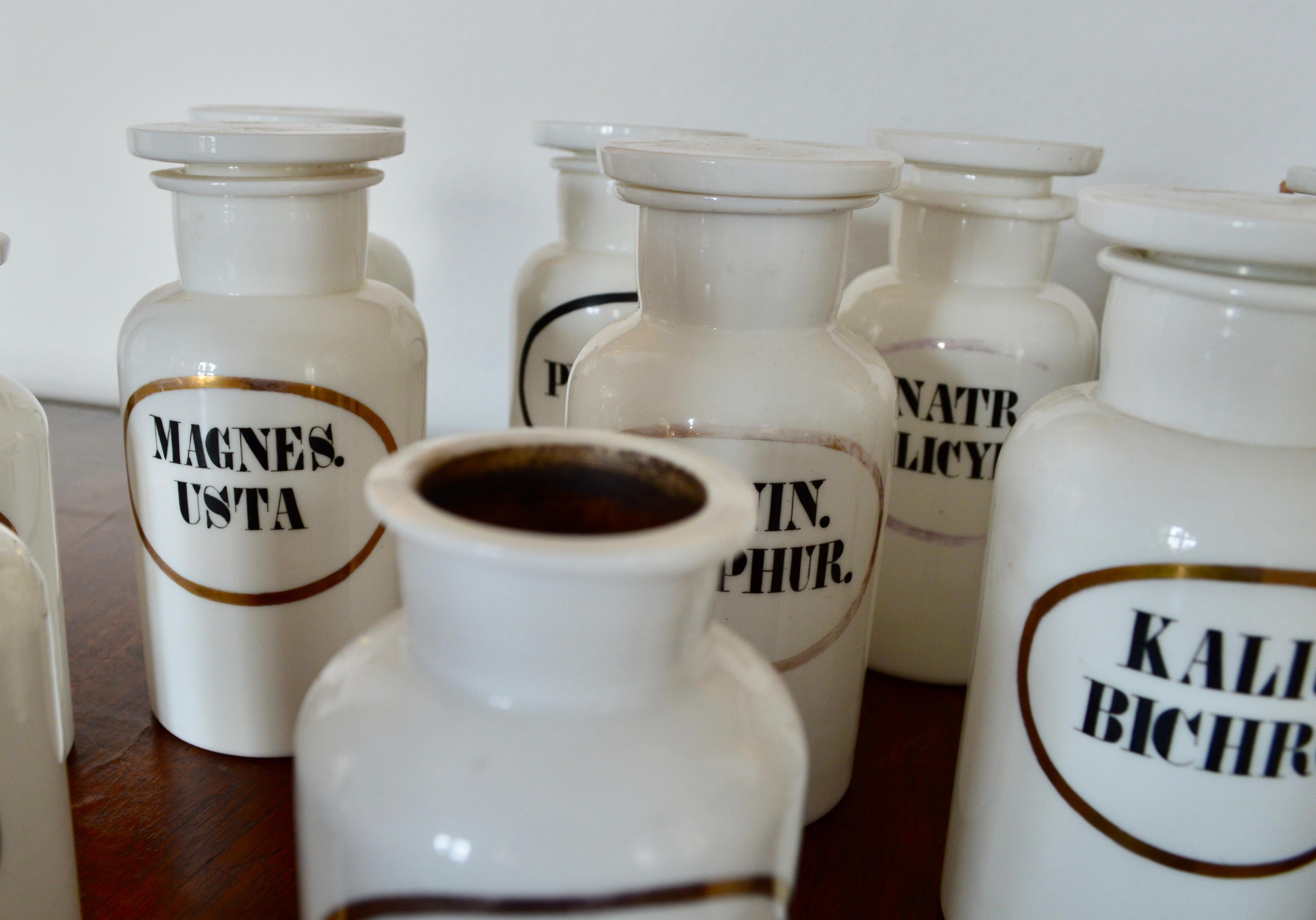Collection of French Opaline Apothecary Jars For Sale 3