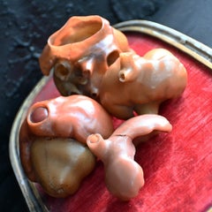 Collection of Friedrich Ziegler wax model human heart development forms