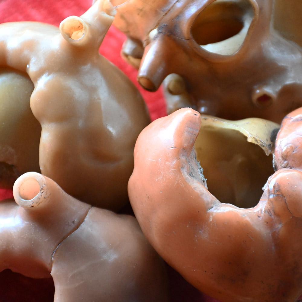 German Collection of Friedrich Ziegler wax model human heart development forms For Sale