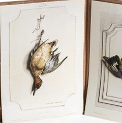 Collection of hunting engravings - Edouard Traviés