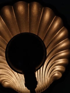 Collection of Large 12 Inch Scallop Shell Sconces