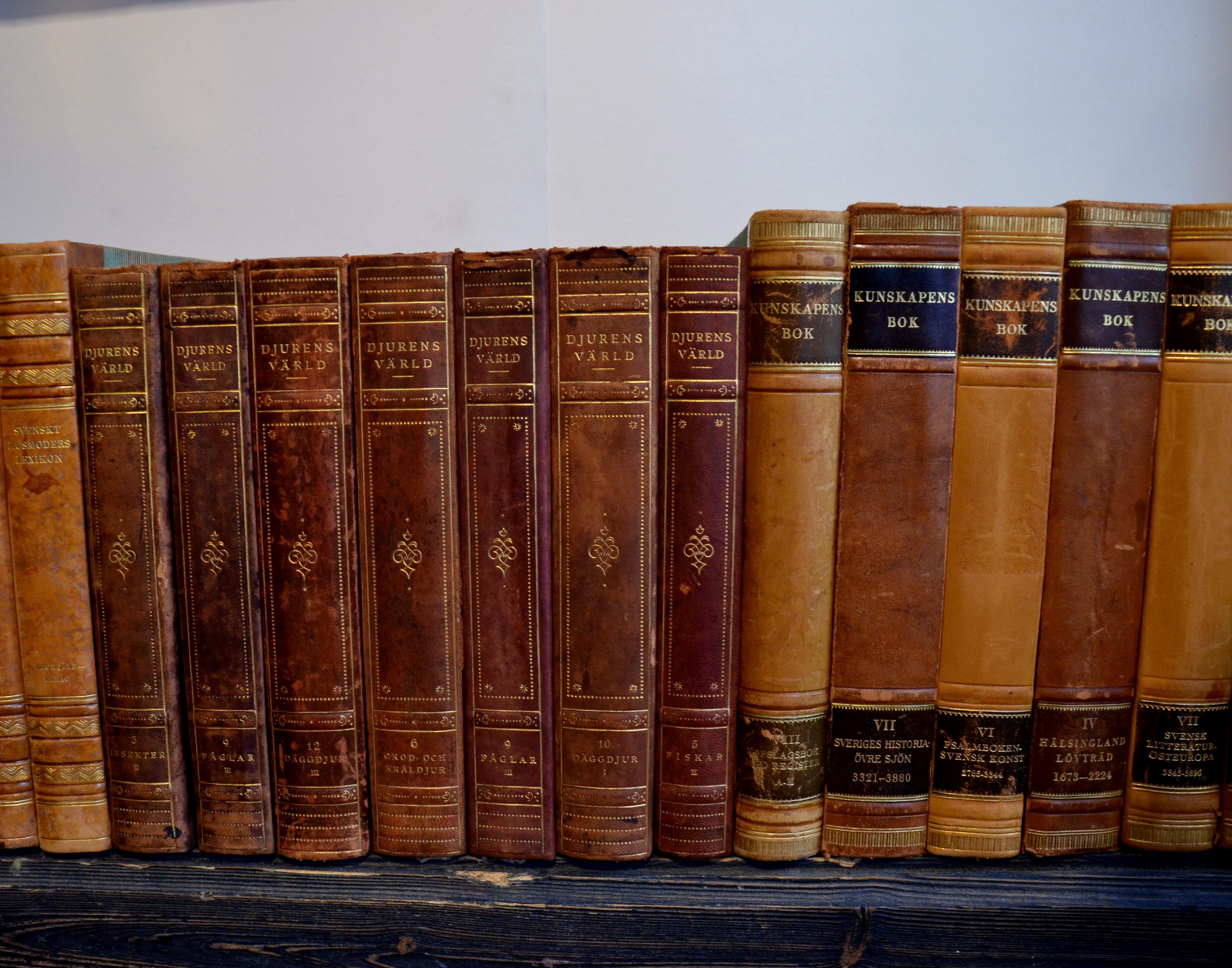 Collection of Leather Bound Books, Series 201 In Good Condition In London, GB