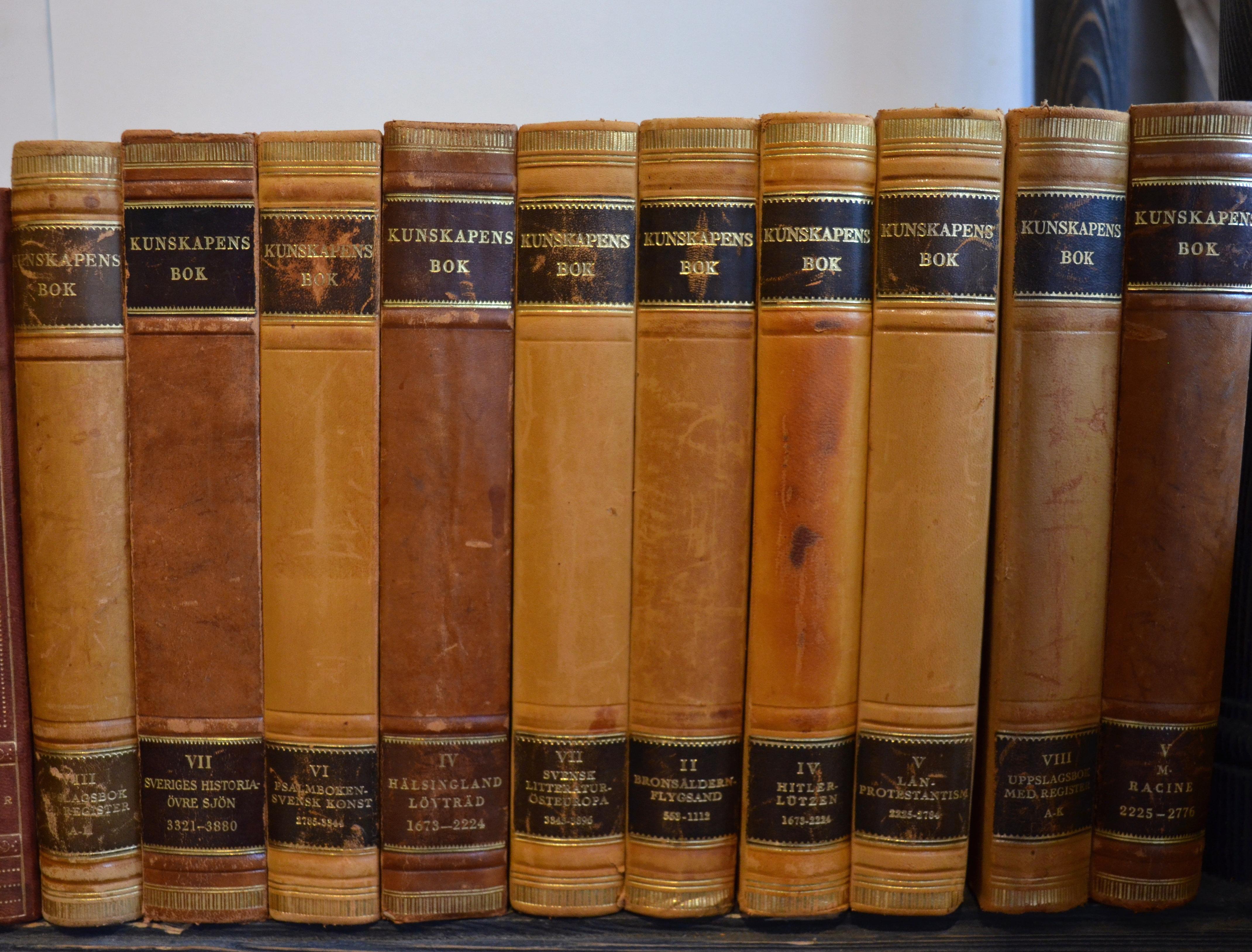 20th Century Collection of Leather Bound Books, Series 201