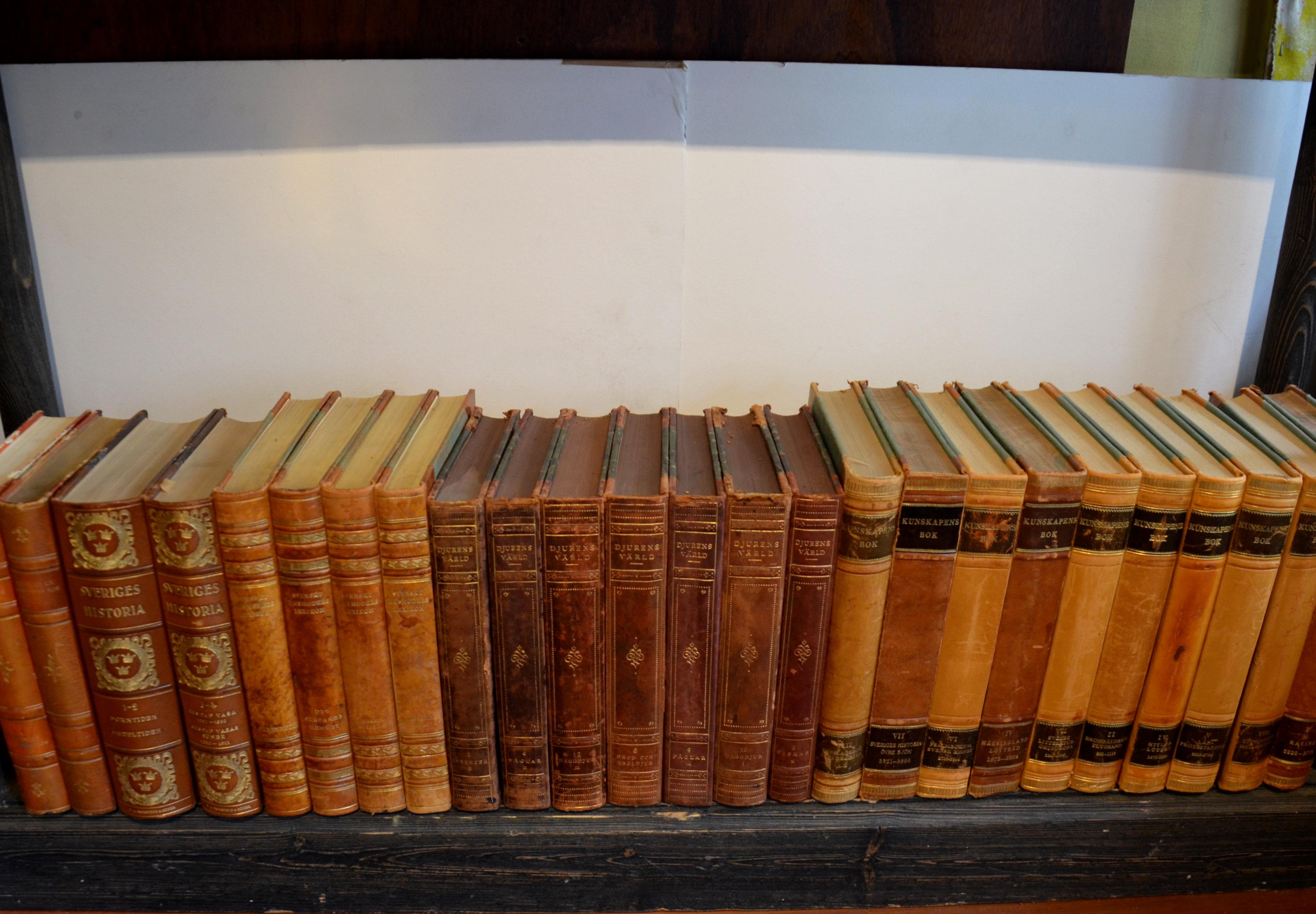 Collection of Leather Bound Books, Series 201 2