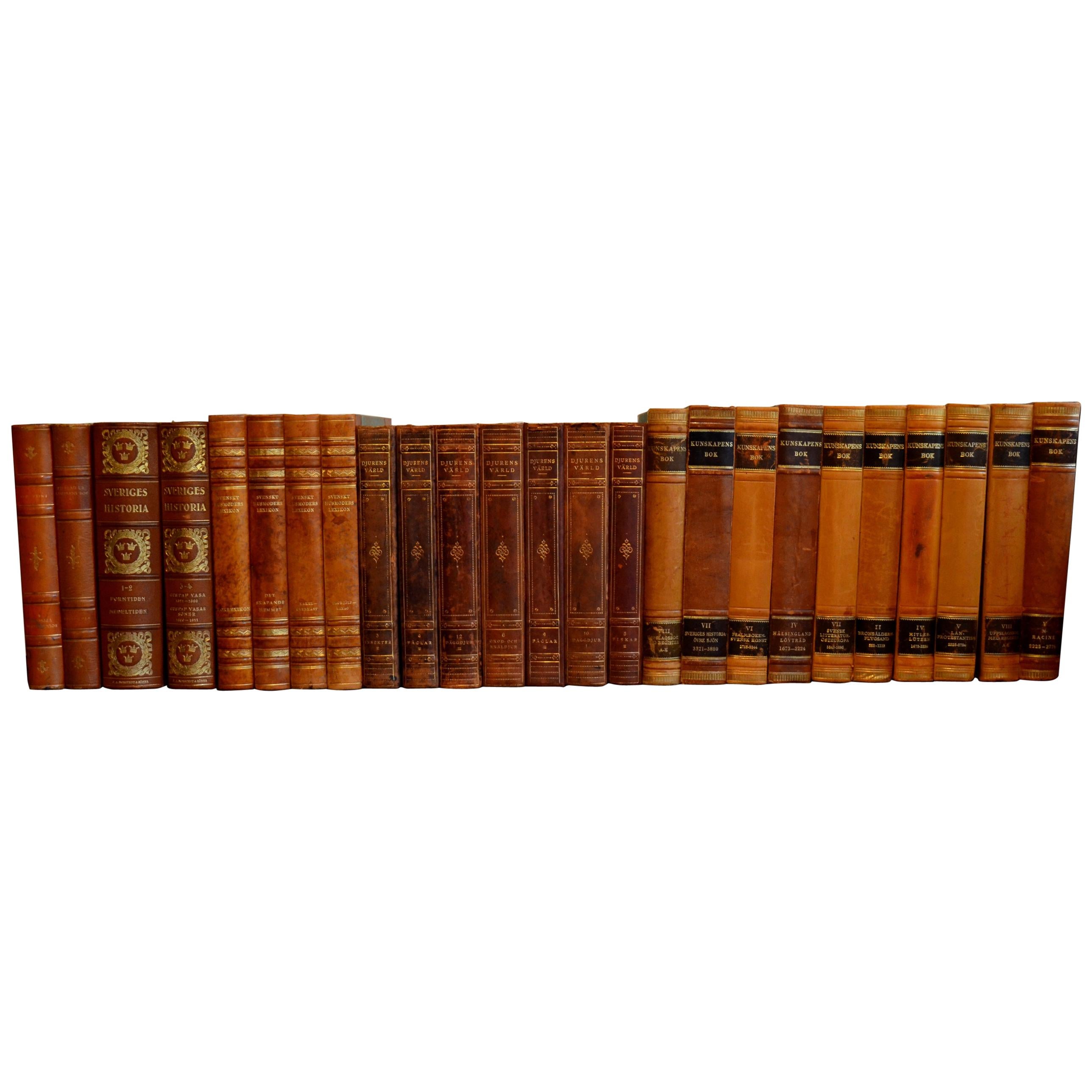 Collection of Leather Bound Books, Series 201
