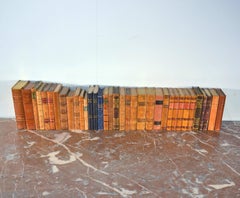 Collection of Leather Bound Books, Series 113