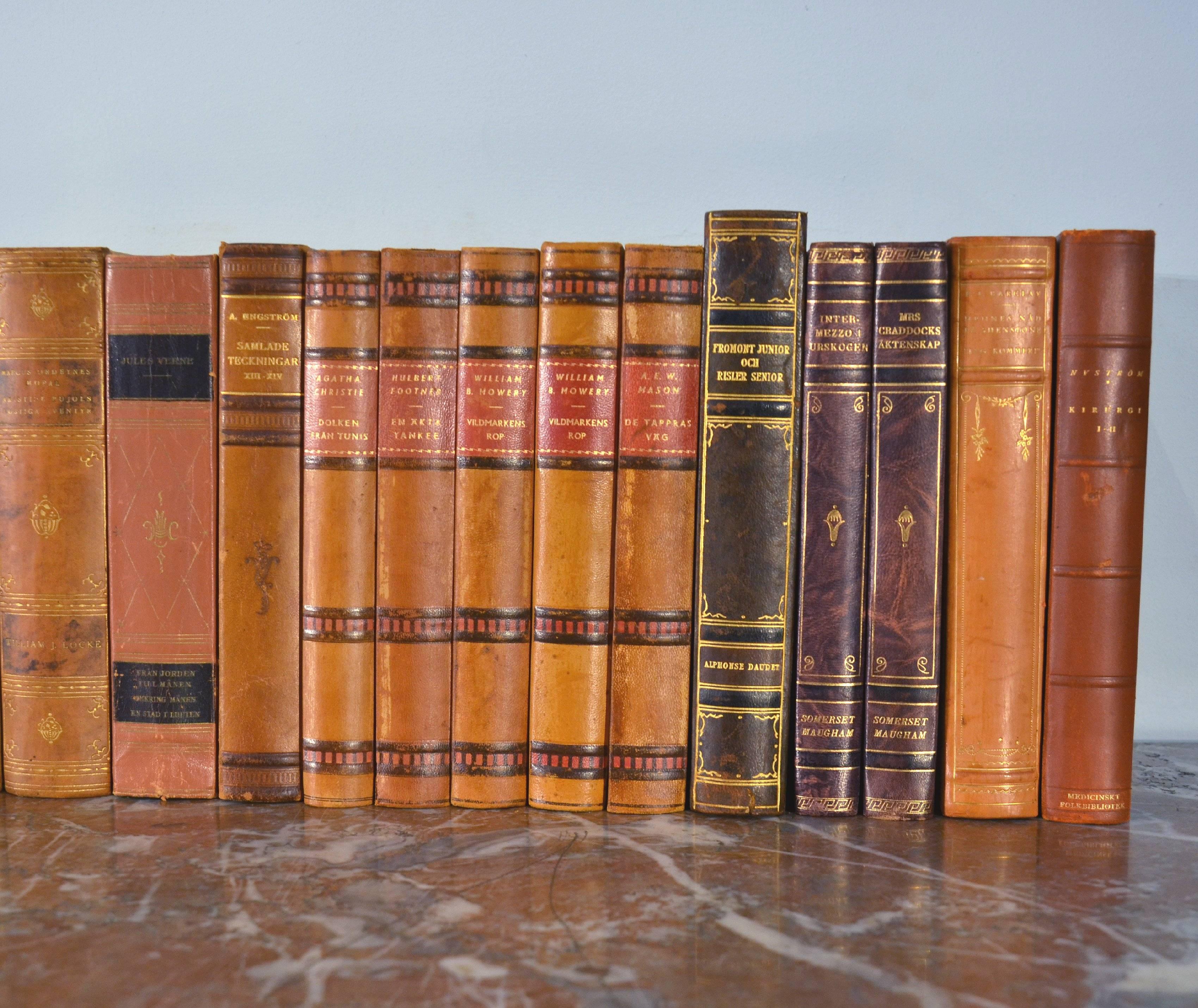 Swedish Collection of Leather Bound Books, Series 113