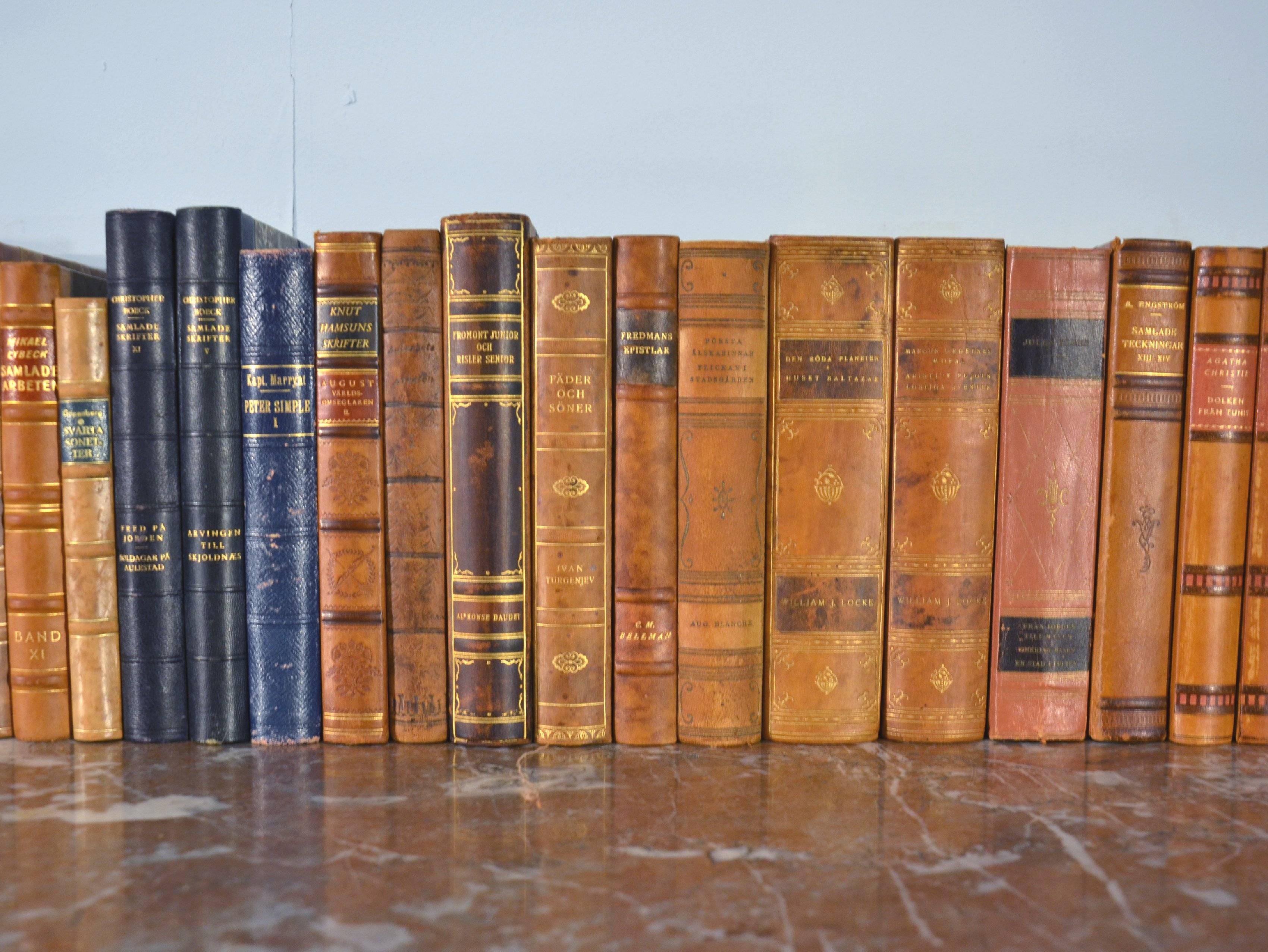 Embossed Collection of Leather Bound Books, Series 113