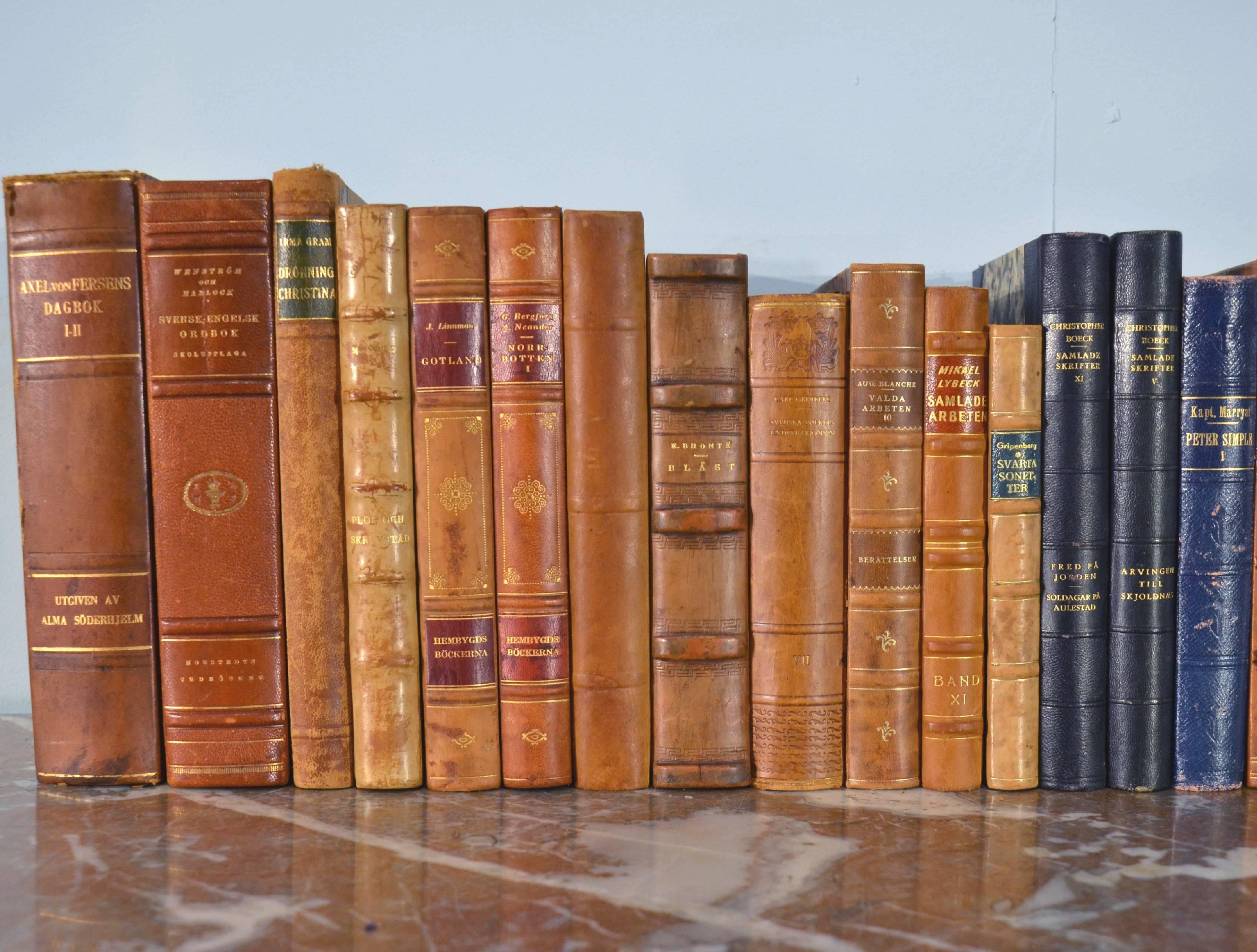 Collection of Leather Bound Books, Series 113 In Good Condition In London, GB