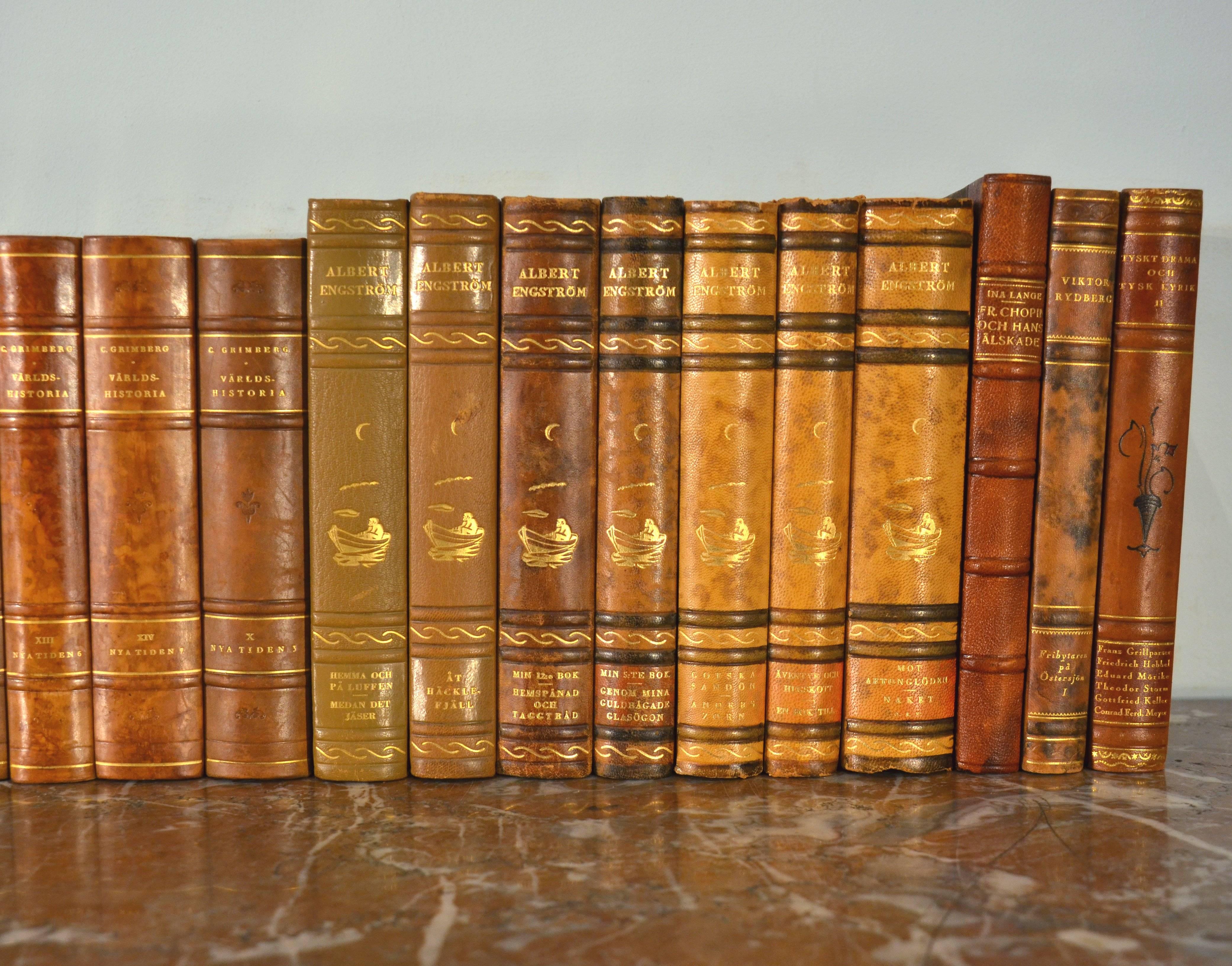 Collection of Leather Bound Books, Series 114 In Good Condition In London, GB