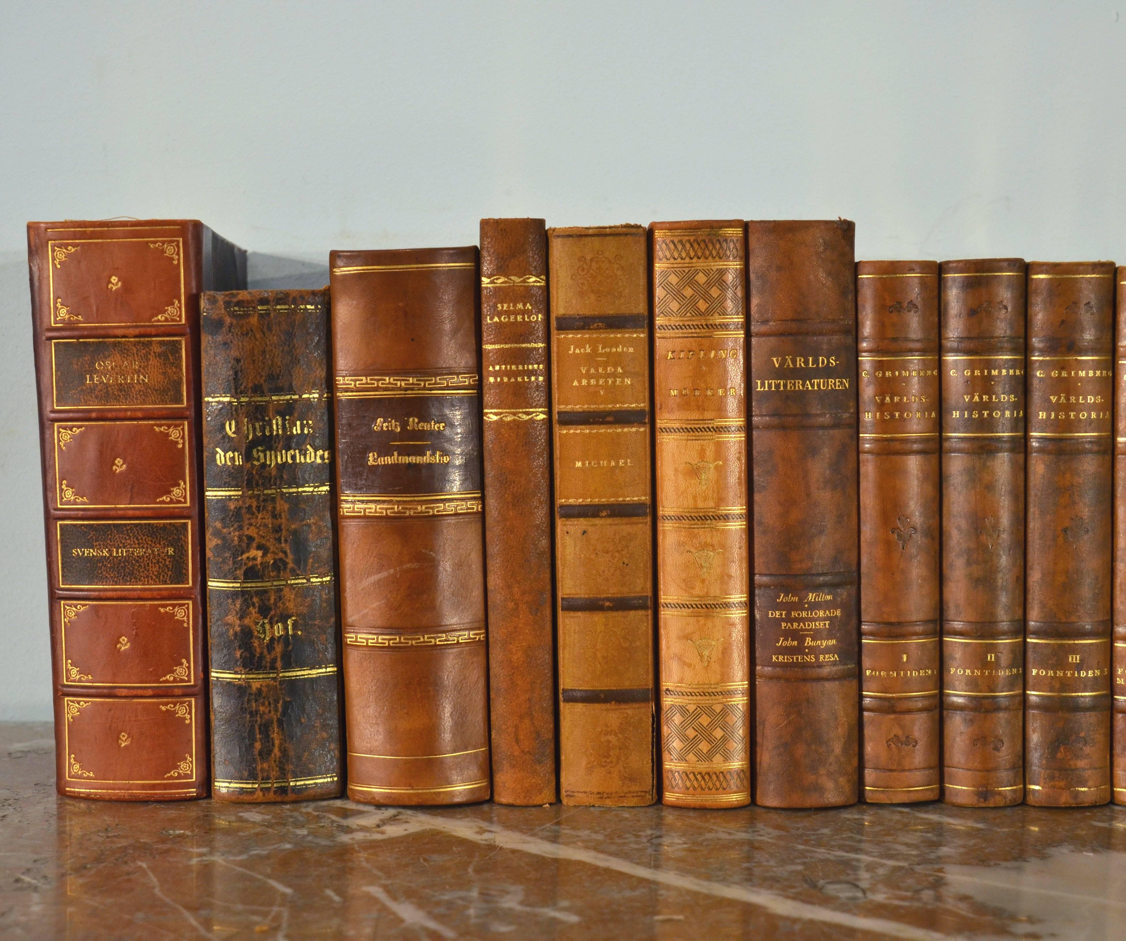 Collection of Leather Bound Books, Series 114 1