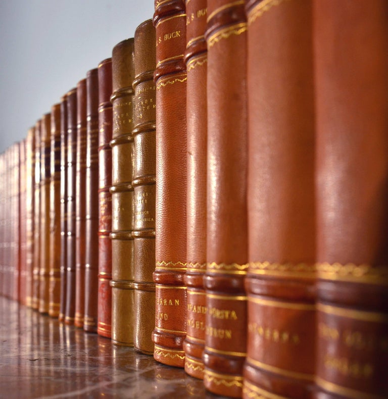 Collection of Leather Bound Books, Series 116 at 1stDibs