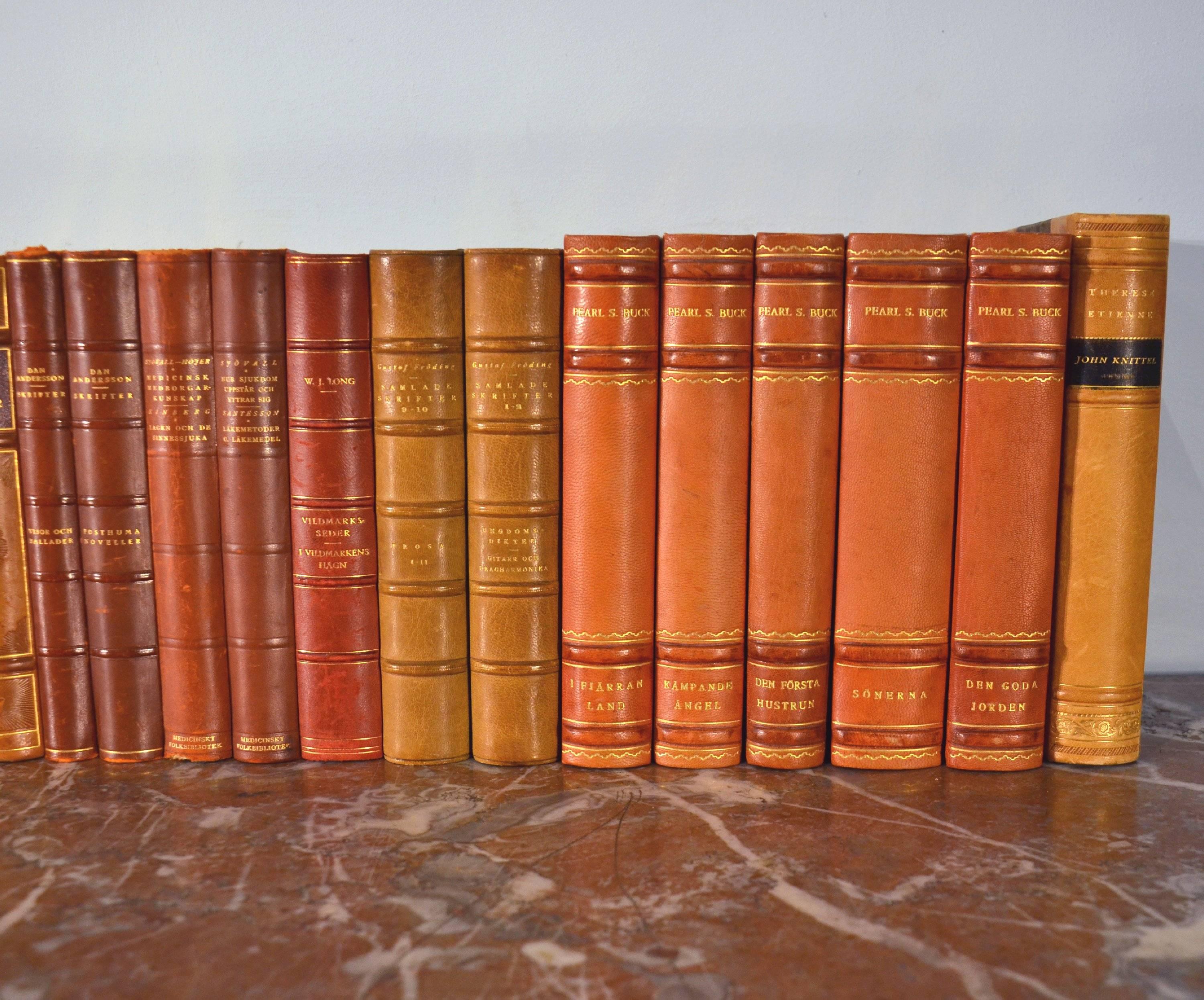 Collection of Leather Bound Books, Series 116 1