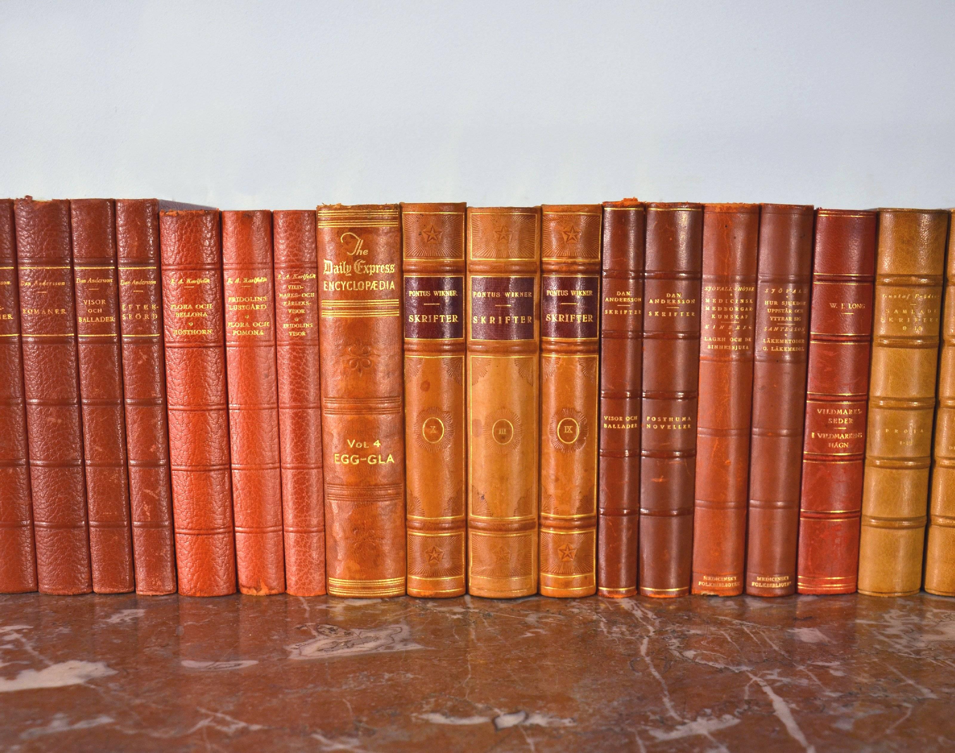 Collection of Leather Bound Books, Series 116 2