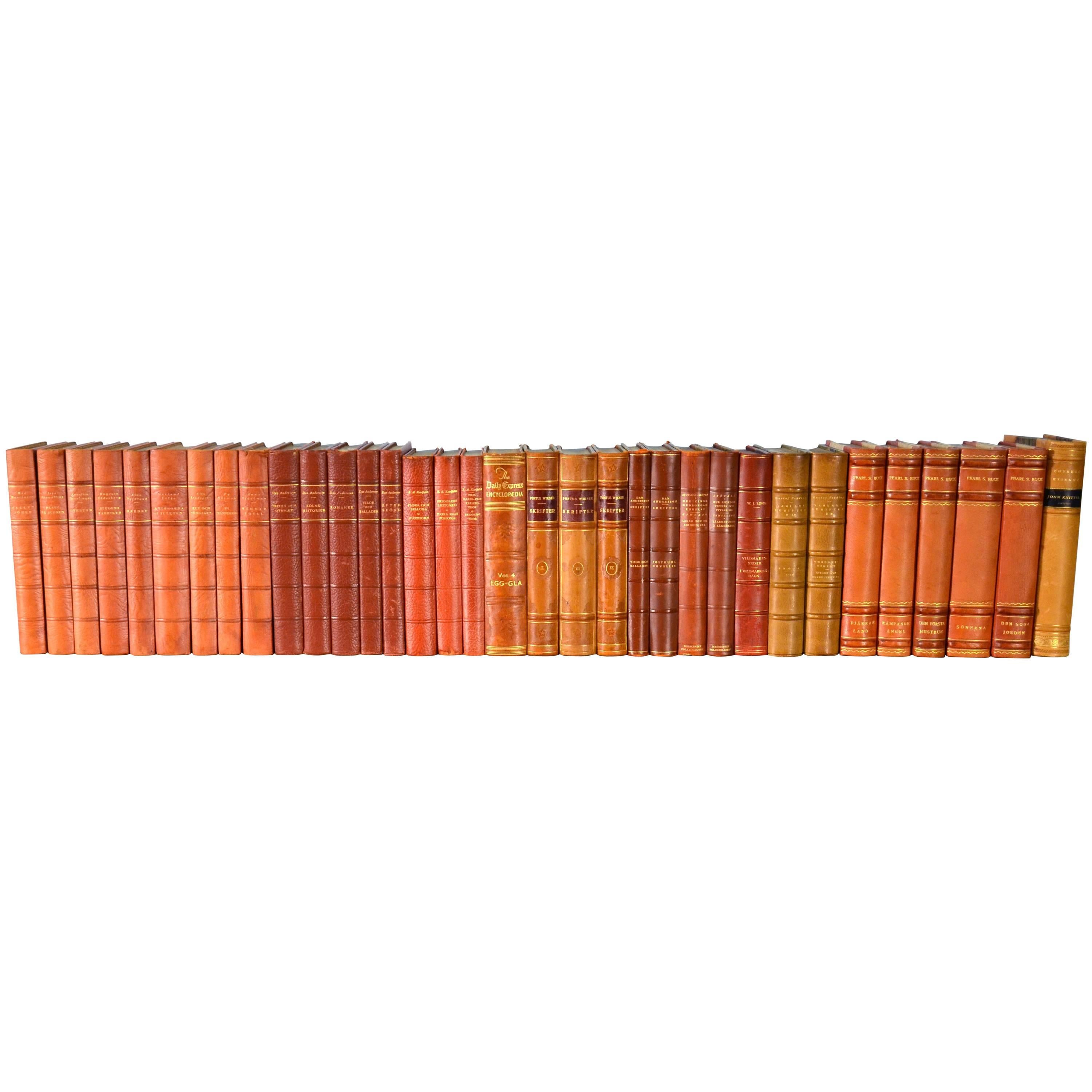 Collection of Leather Bound Books, Series 116