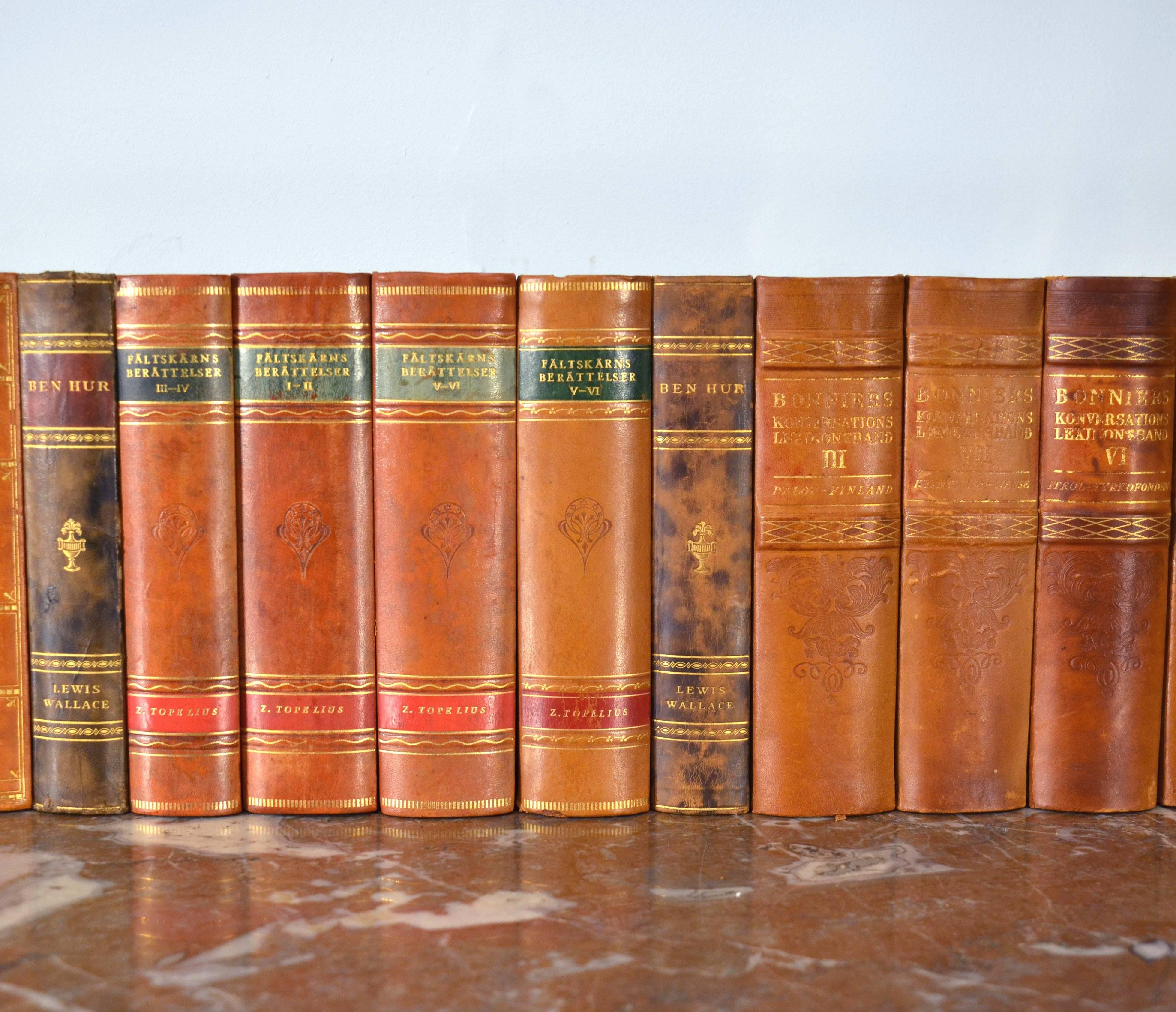Collection of Leather Bound Books, Series 119 In Good Condition In London, GB