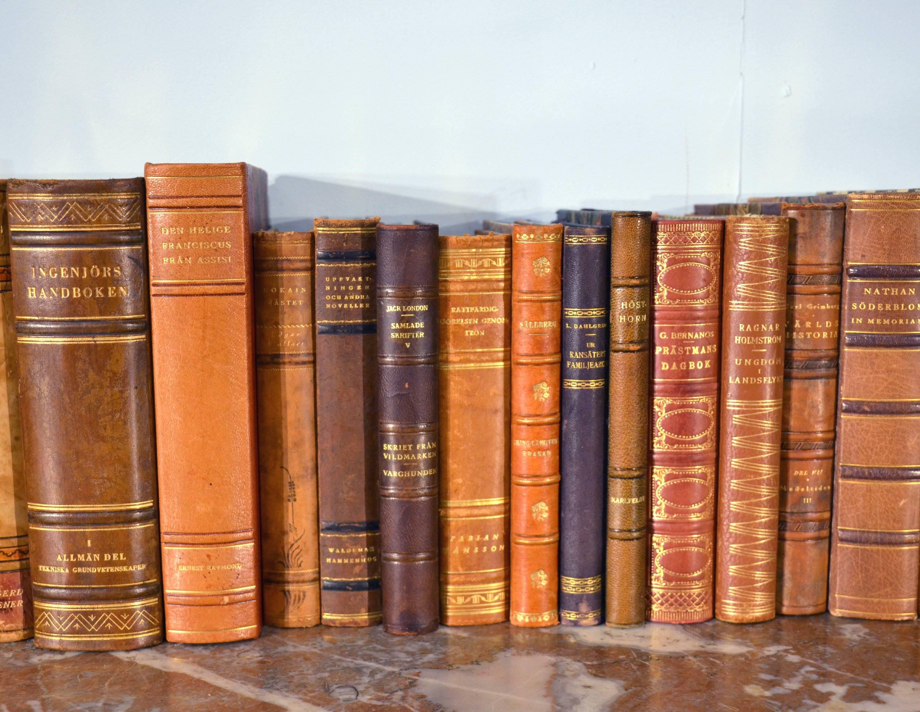 Paper Collection of Leather Bound Books, Series 123