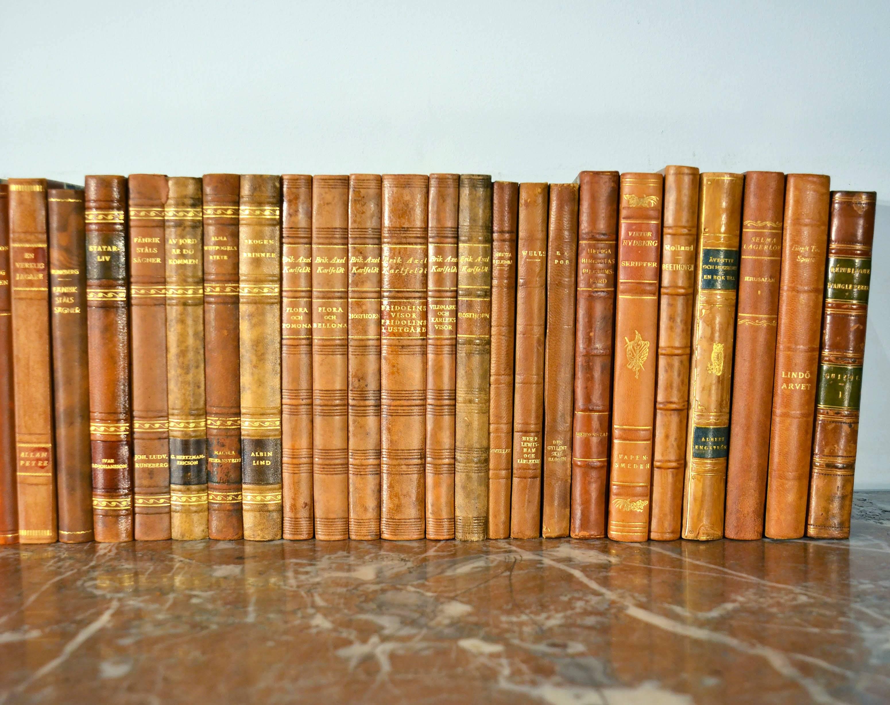 Swedish Collection of Leather Bound Books, Series 124