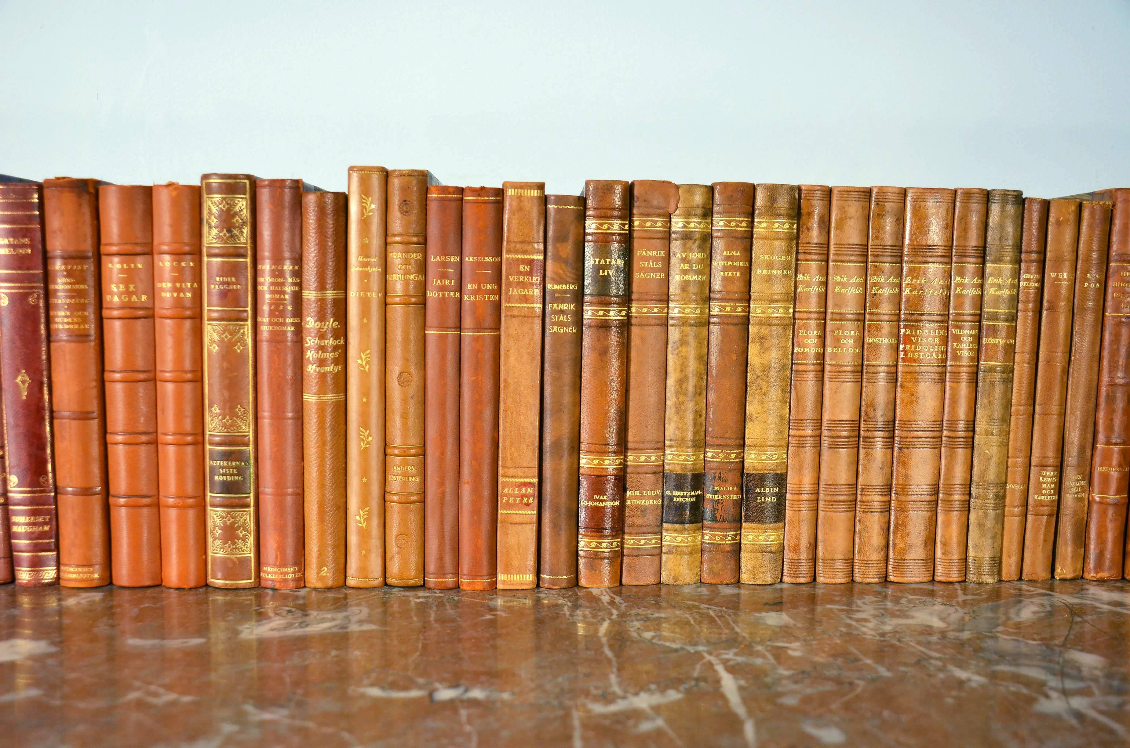 Embossed Collection of Leather Bound Books, Series 124