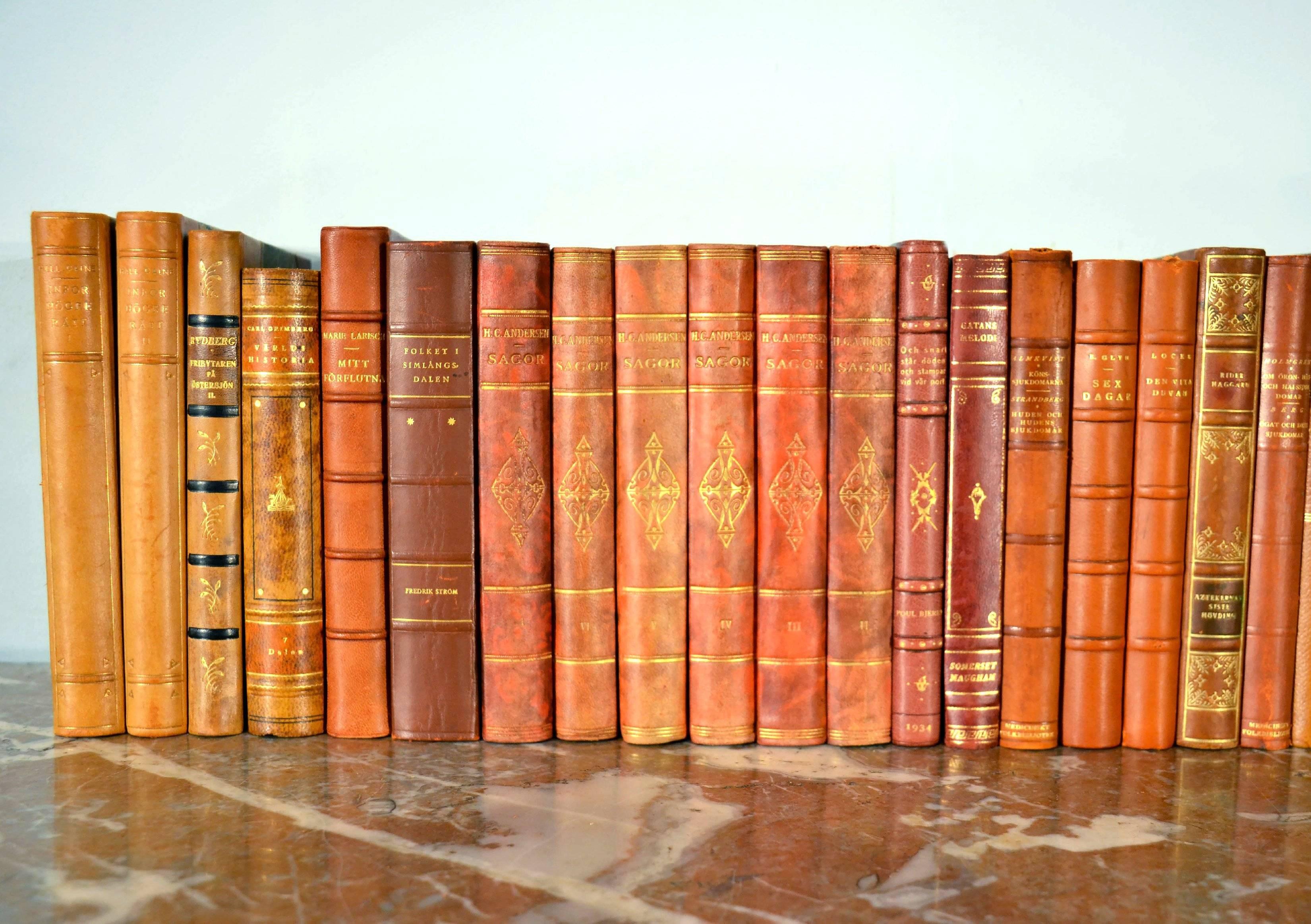 Collection of Leather Bound Books, Series 124 In Good Condition In London, GB