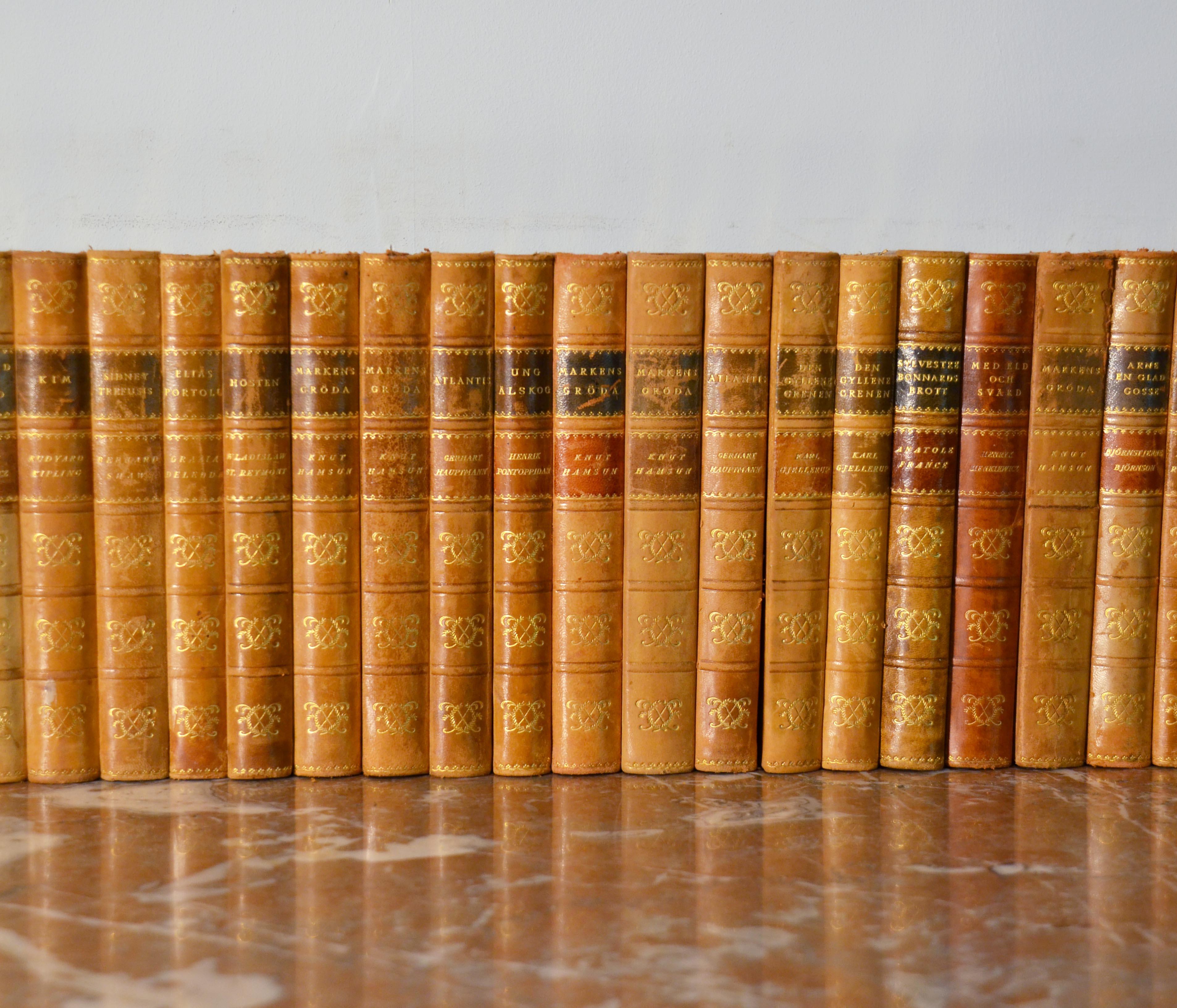 Collection of Leather Bound Books, Series 126 In Good Condition In London, GB