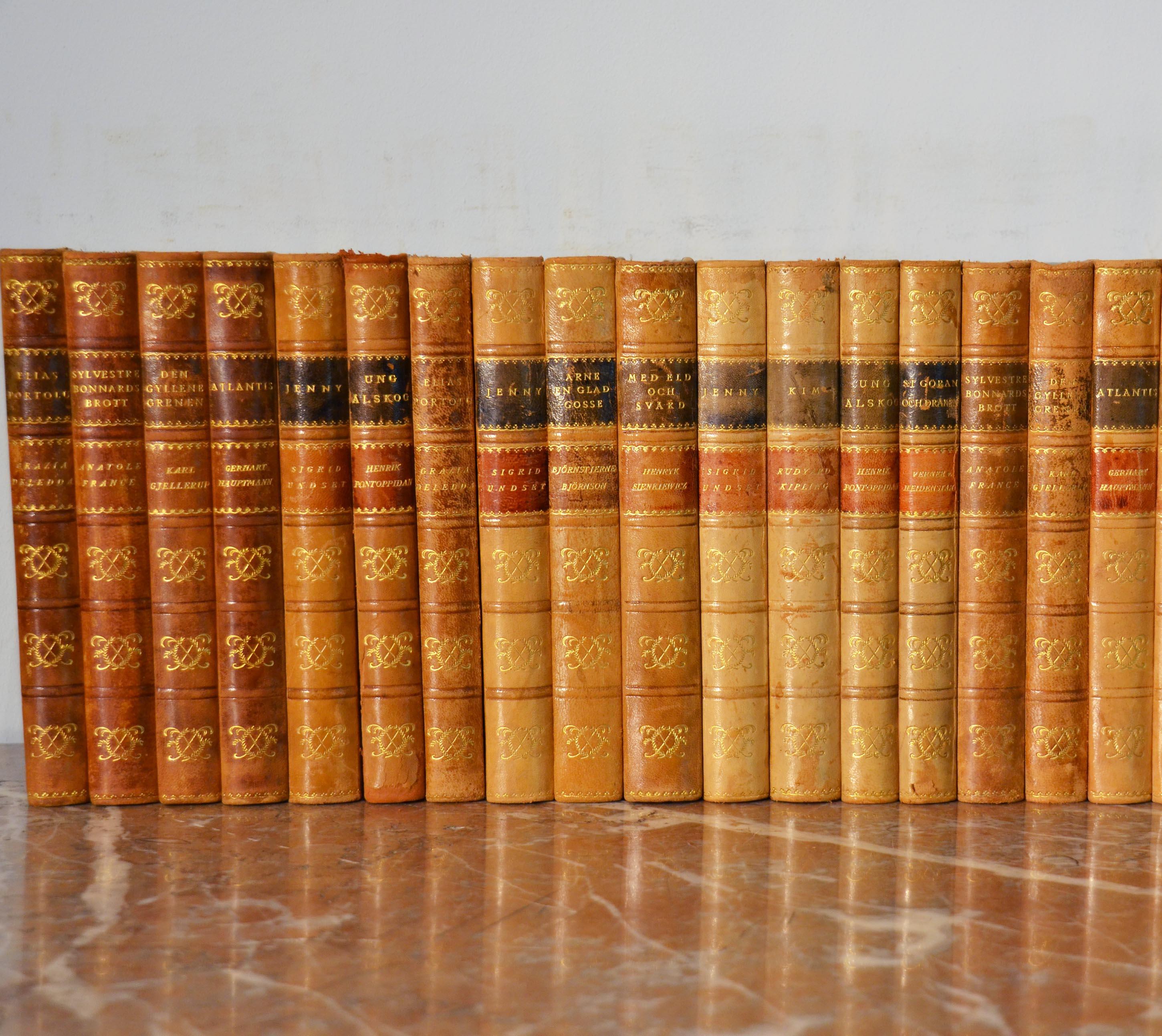 20th Century Collection of Leather Bound Books, Series 126
