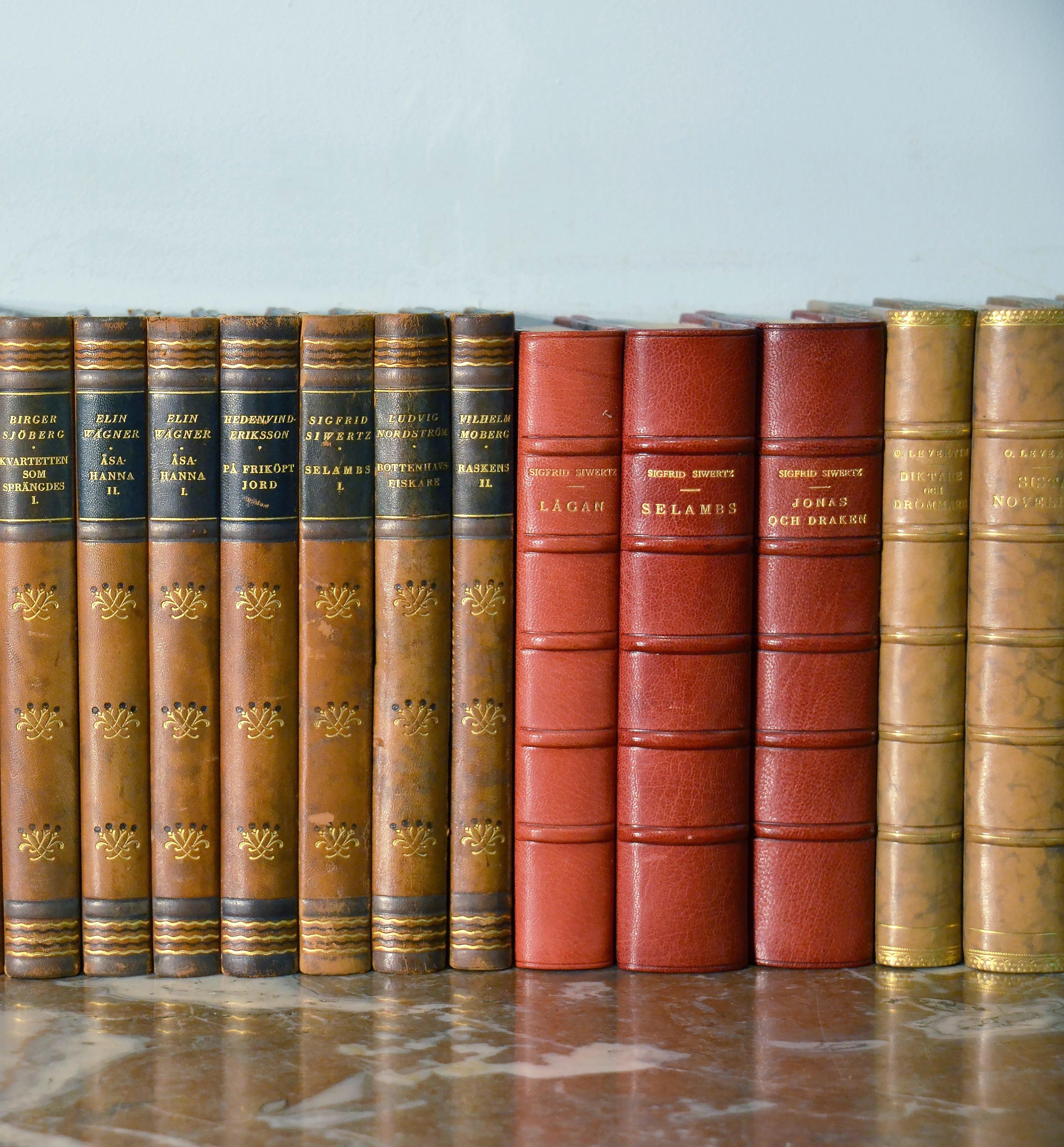 Embossed Collection of Leather Bound Books, Series 127