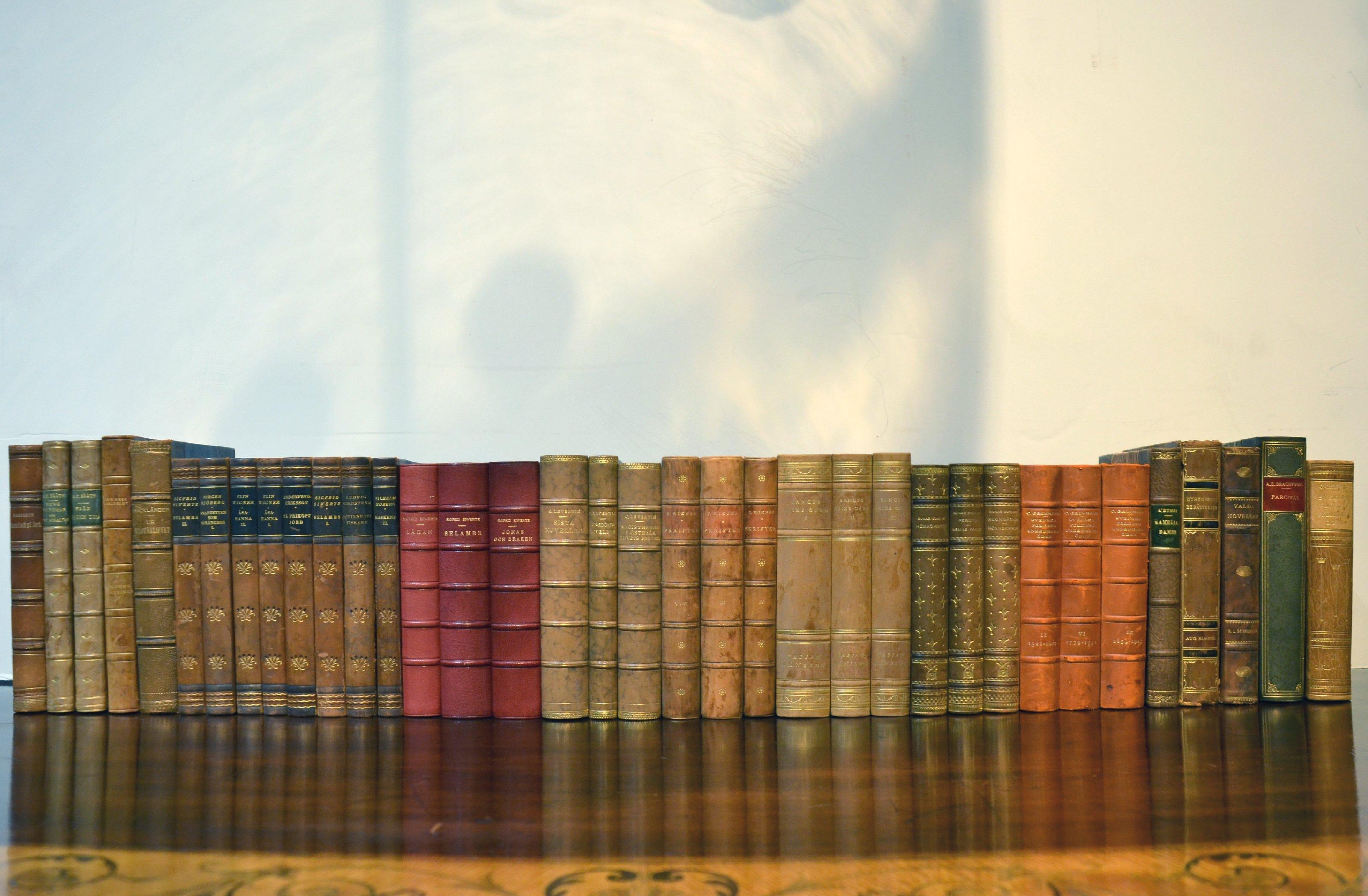 20th Century Collection of Leather Bound Books, Series 127