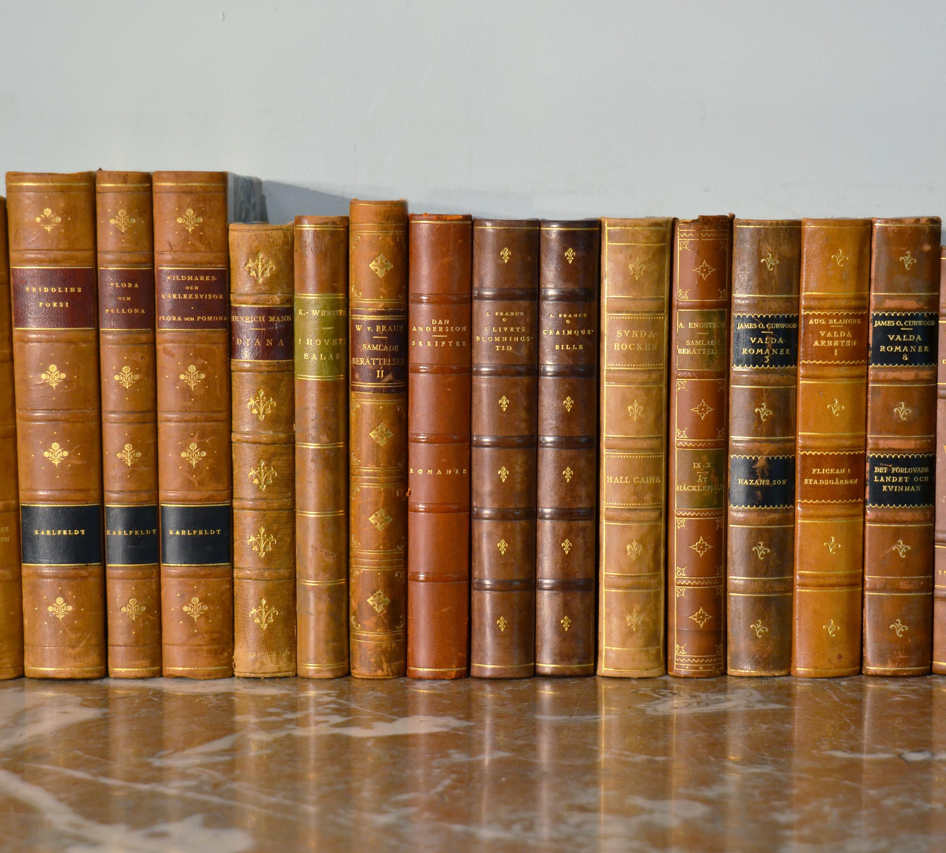 Swedish Collection of Leather Bound Books, Series 128