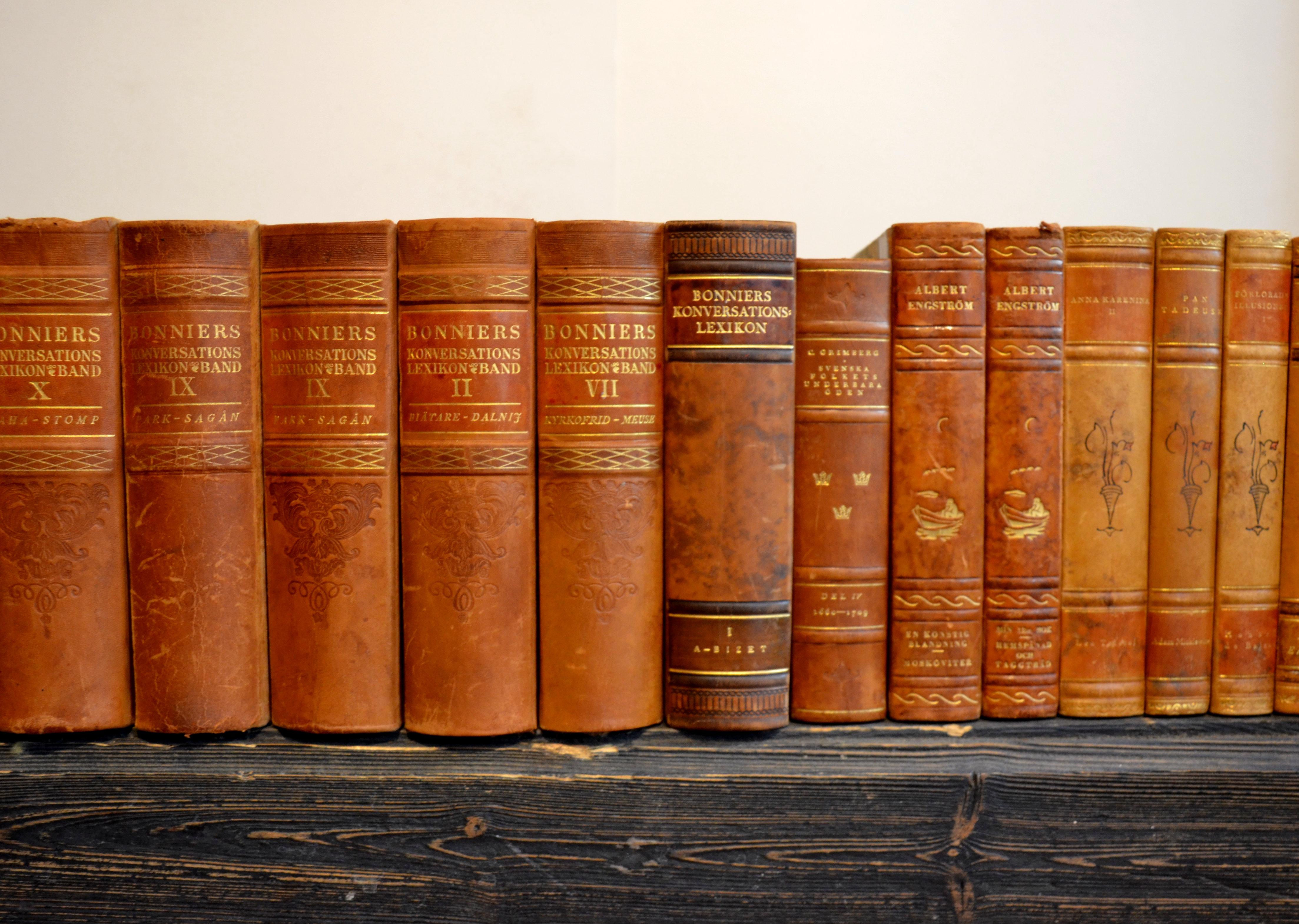 Collection of Leather Bound Books, Series 202 In Good Condition In London, GB