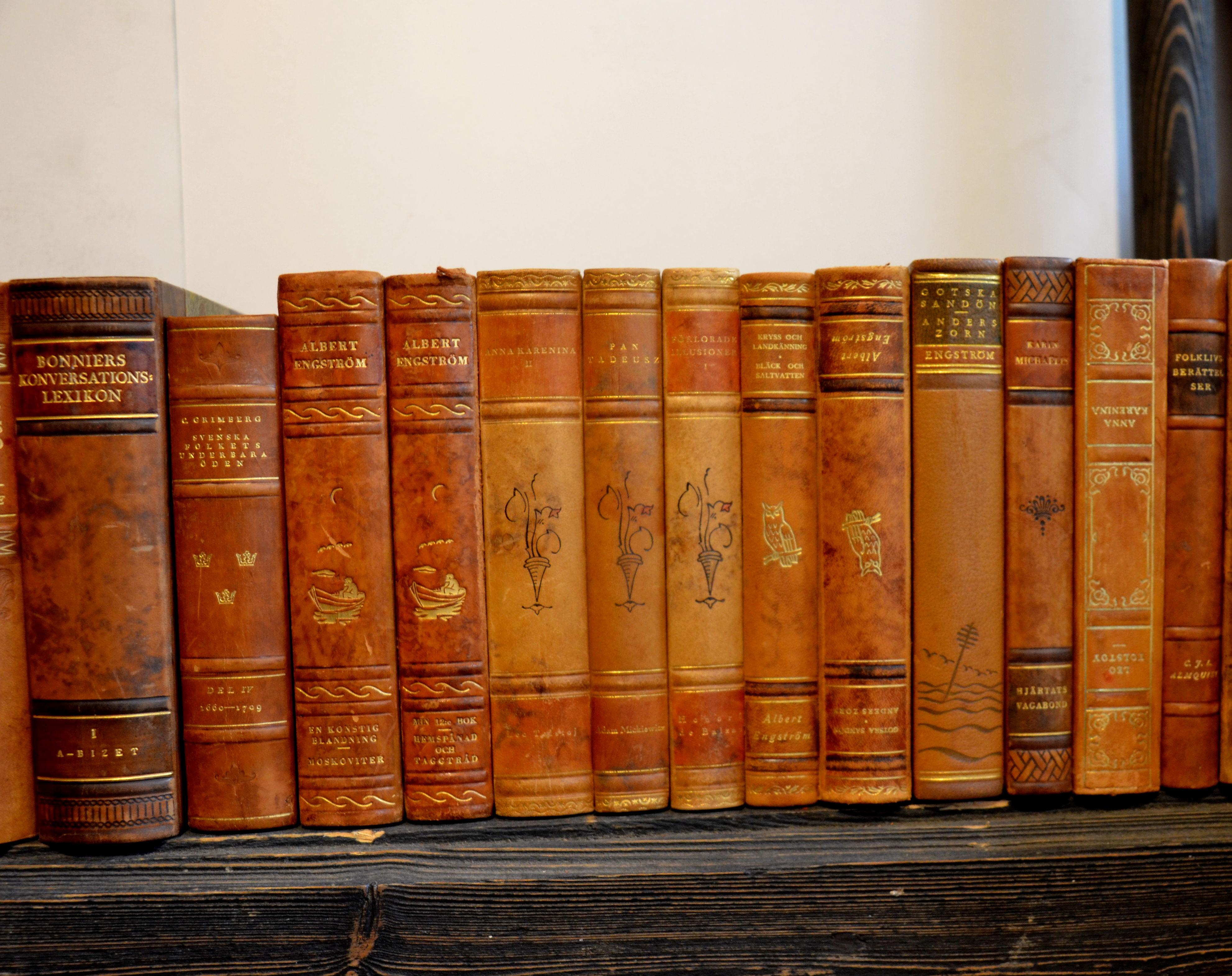 19th Century Collection of Leather Bound Books, Series 202