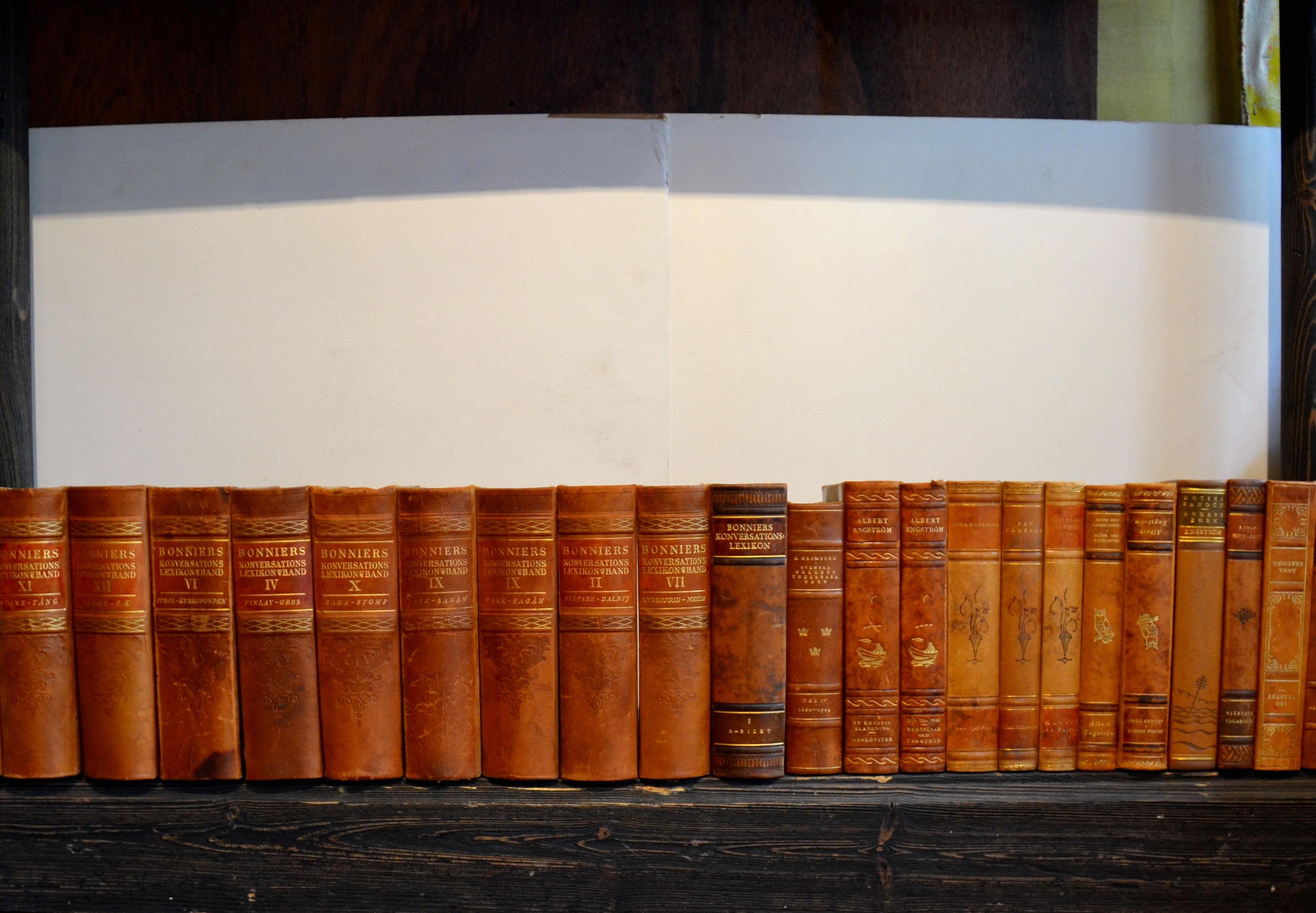 Collection of Leather Bound Books, Series 202 1
