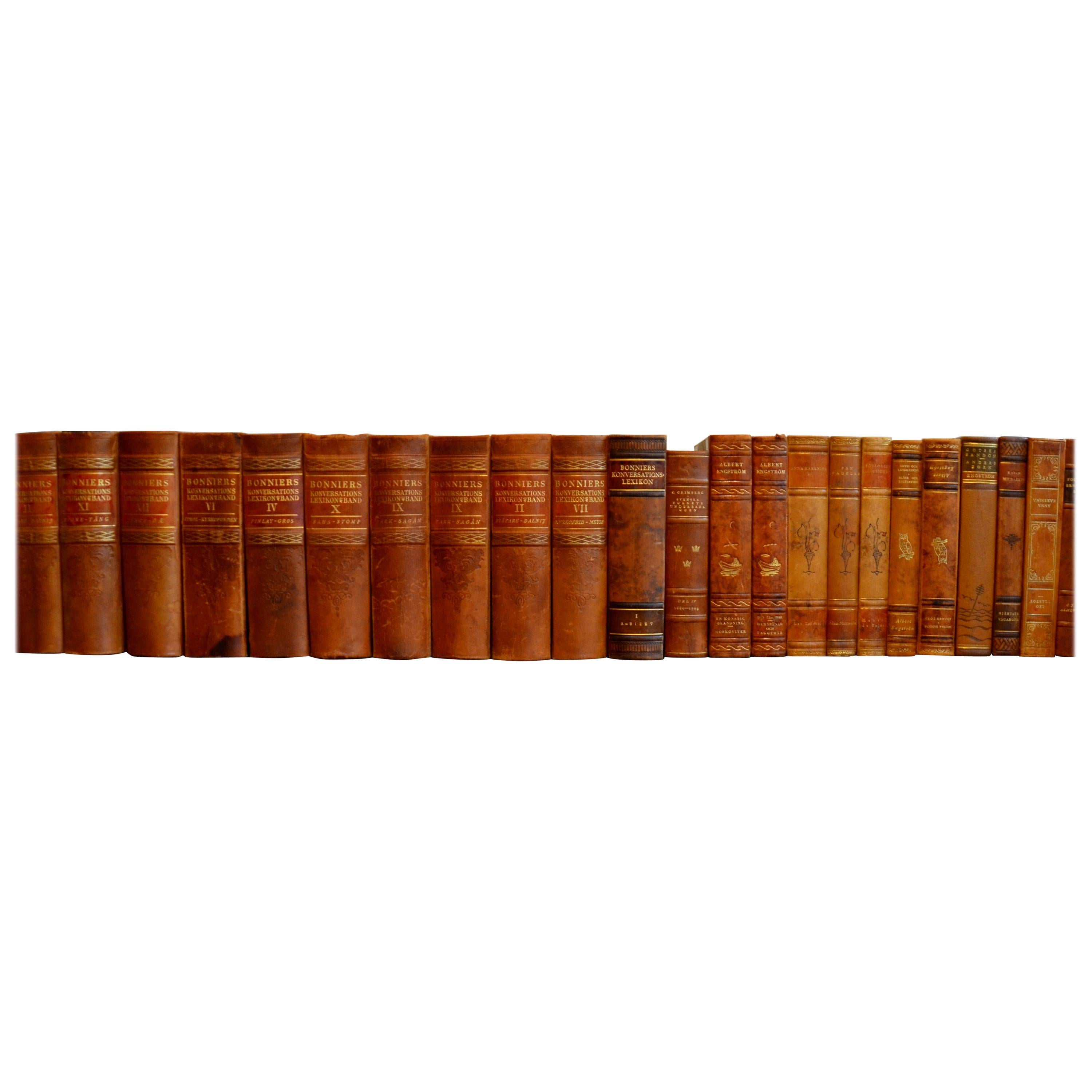 Collection of Leather Bound Books, Series 202
