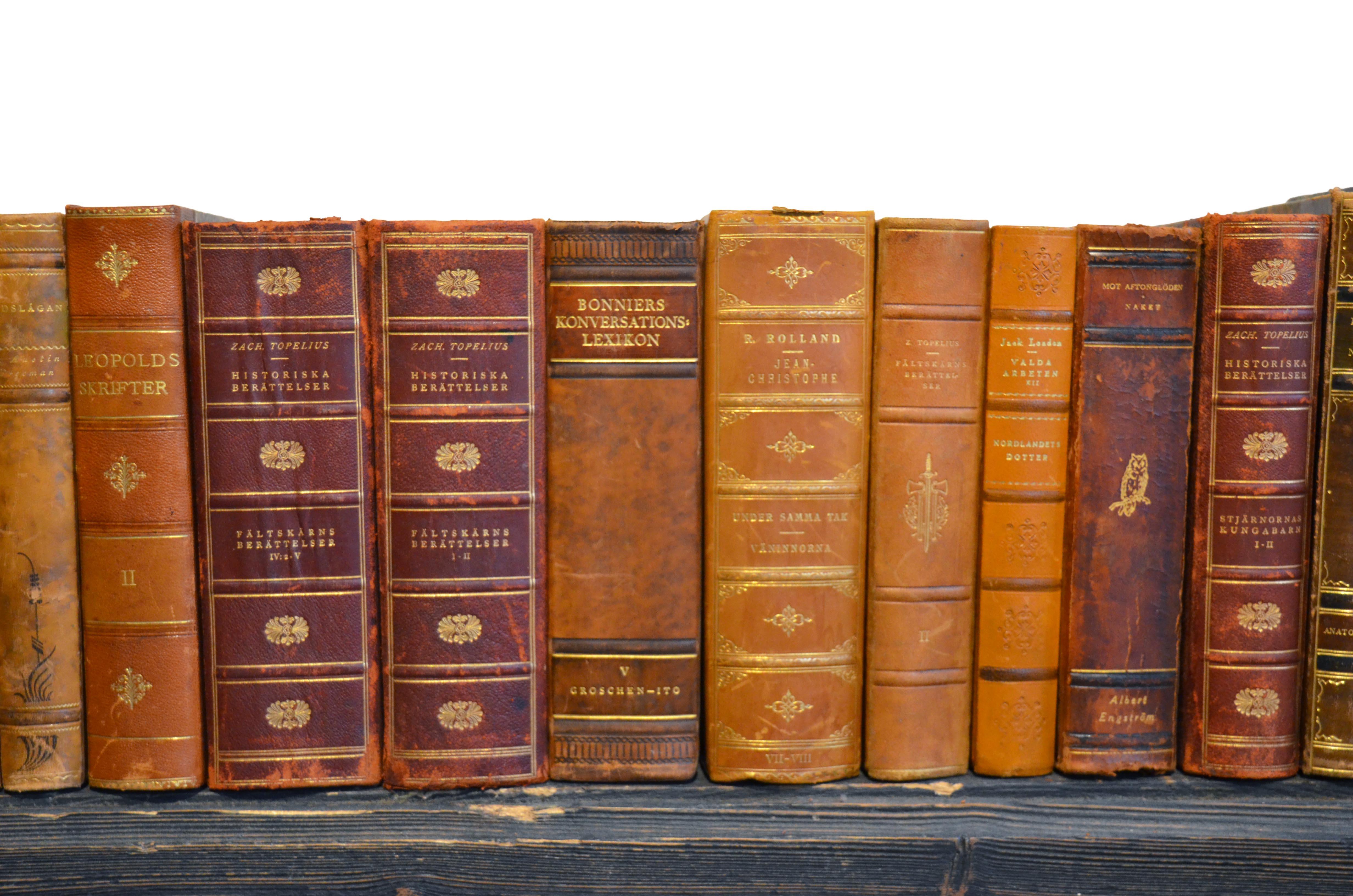 Collection of Leather Bound Books, Series 205 In Good Condition In London, GB