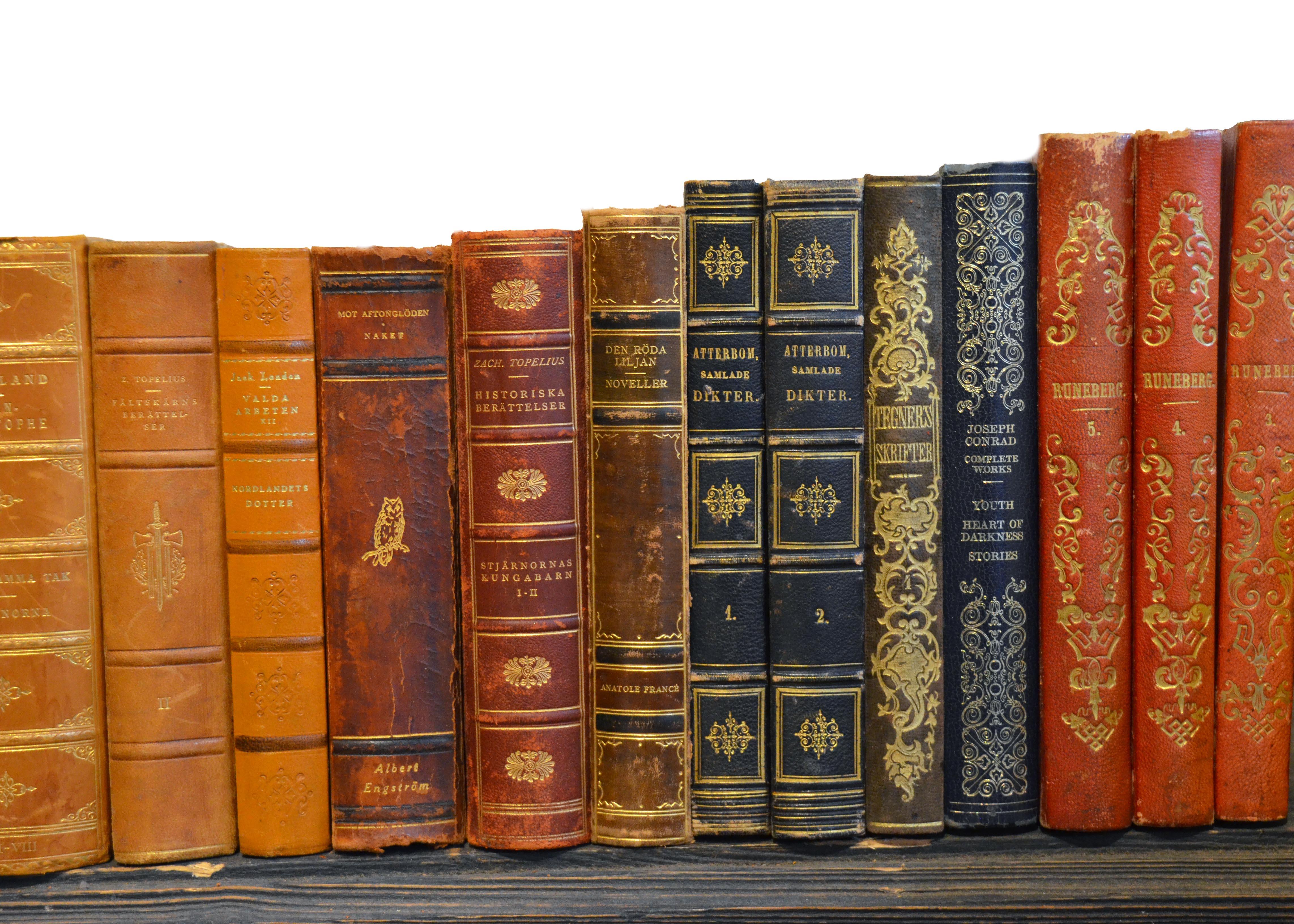 20th Century Collection of Leather Bound Books, Series 205