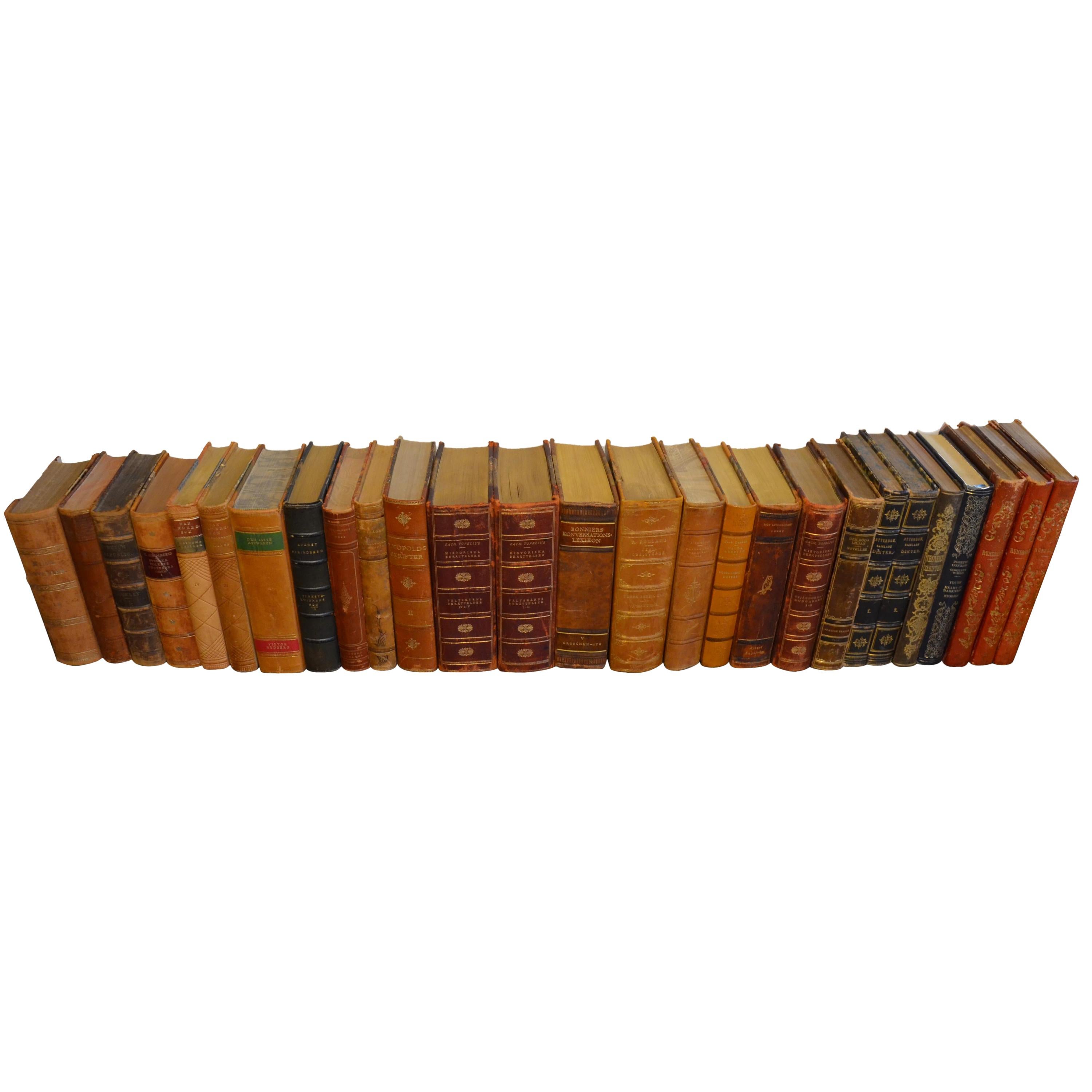 Collection of Leather Bound Books, Series 205