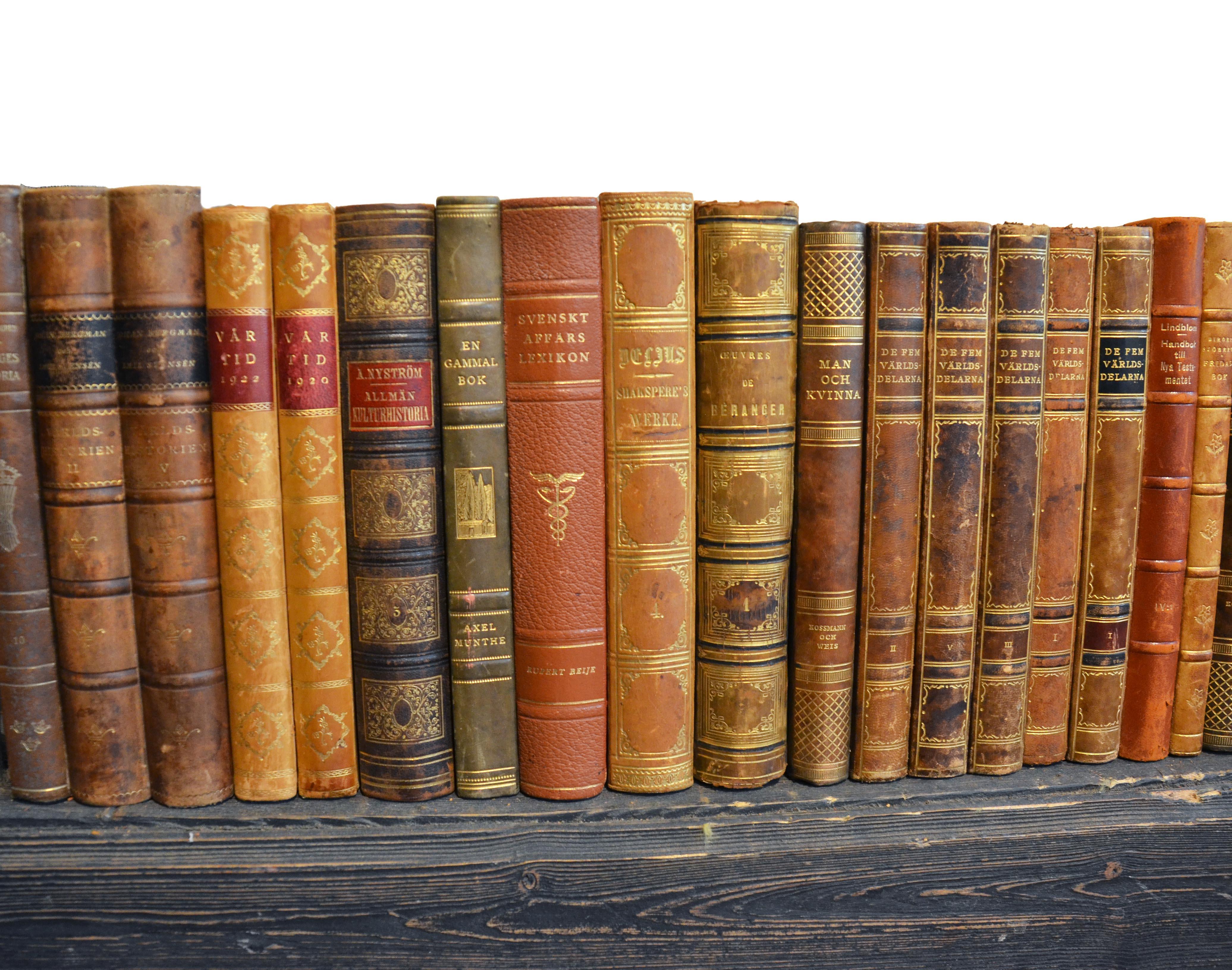 Swedish Collection of Leather Bound Books, Series 206