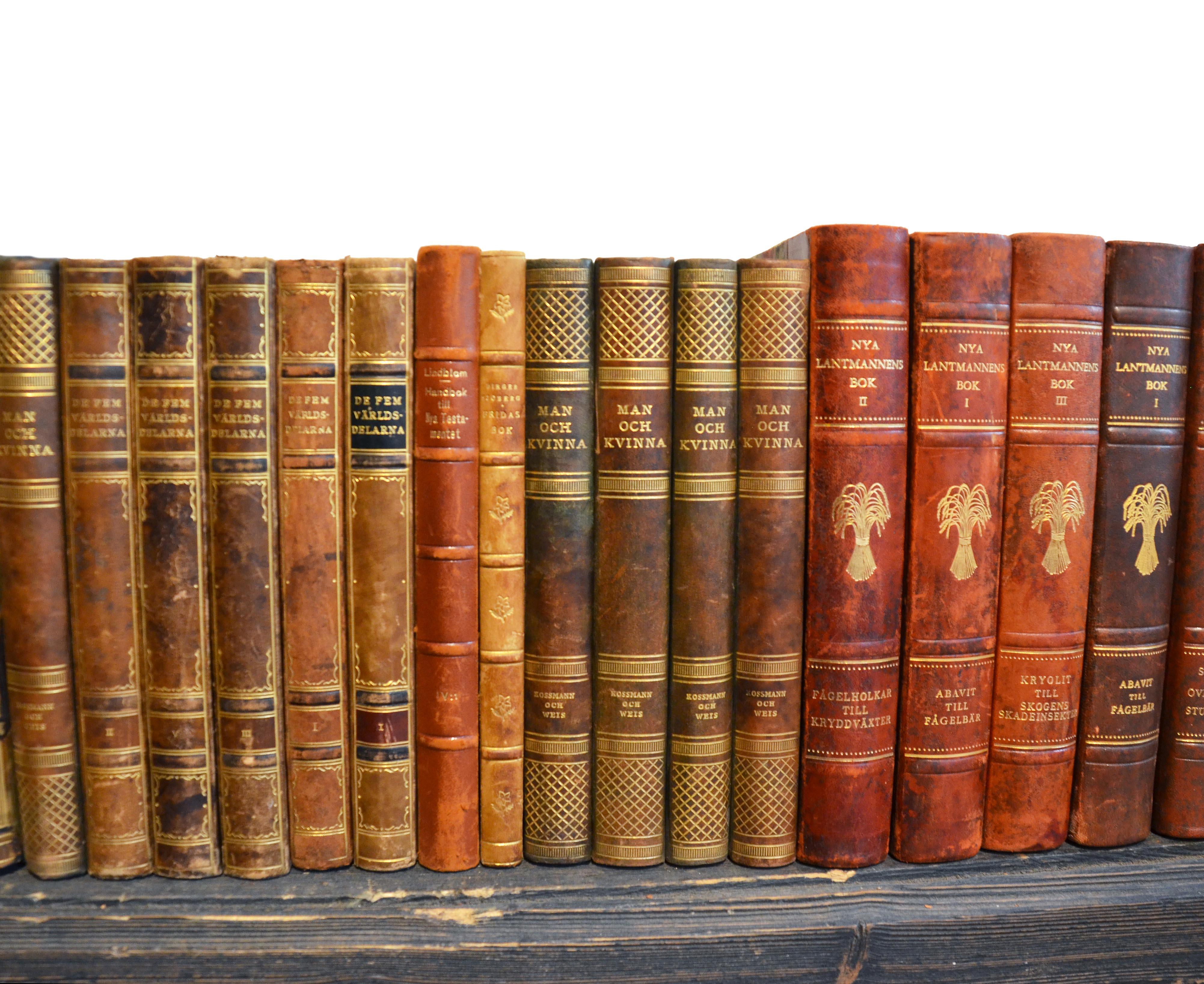 Collection of Leather Bound Books, Series 206 In Good Condition In London, GB