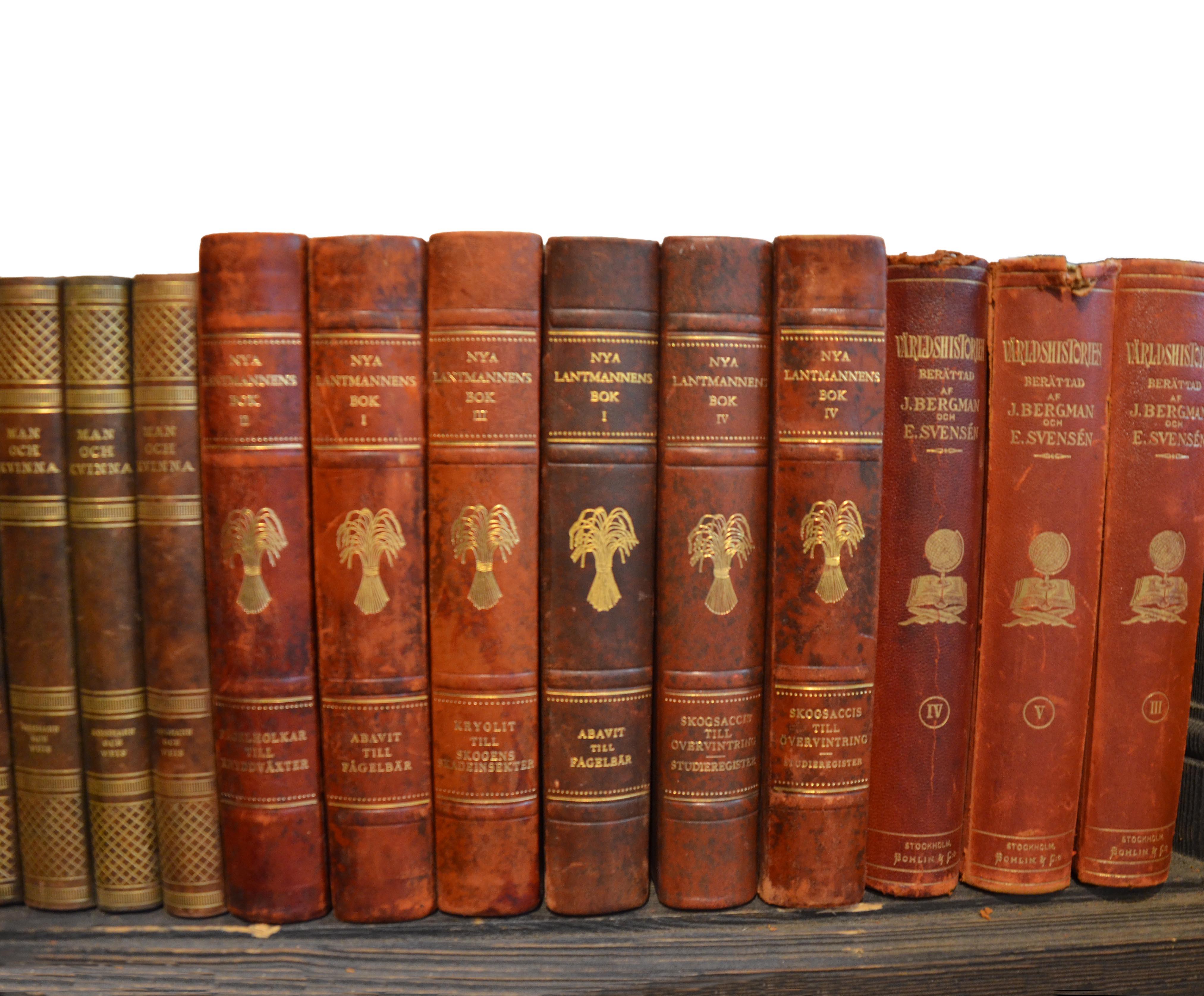 20th Century Collection of Leather Bound Books, Series 206