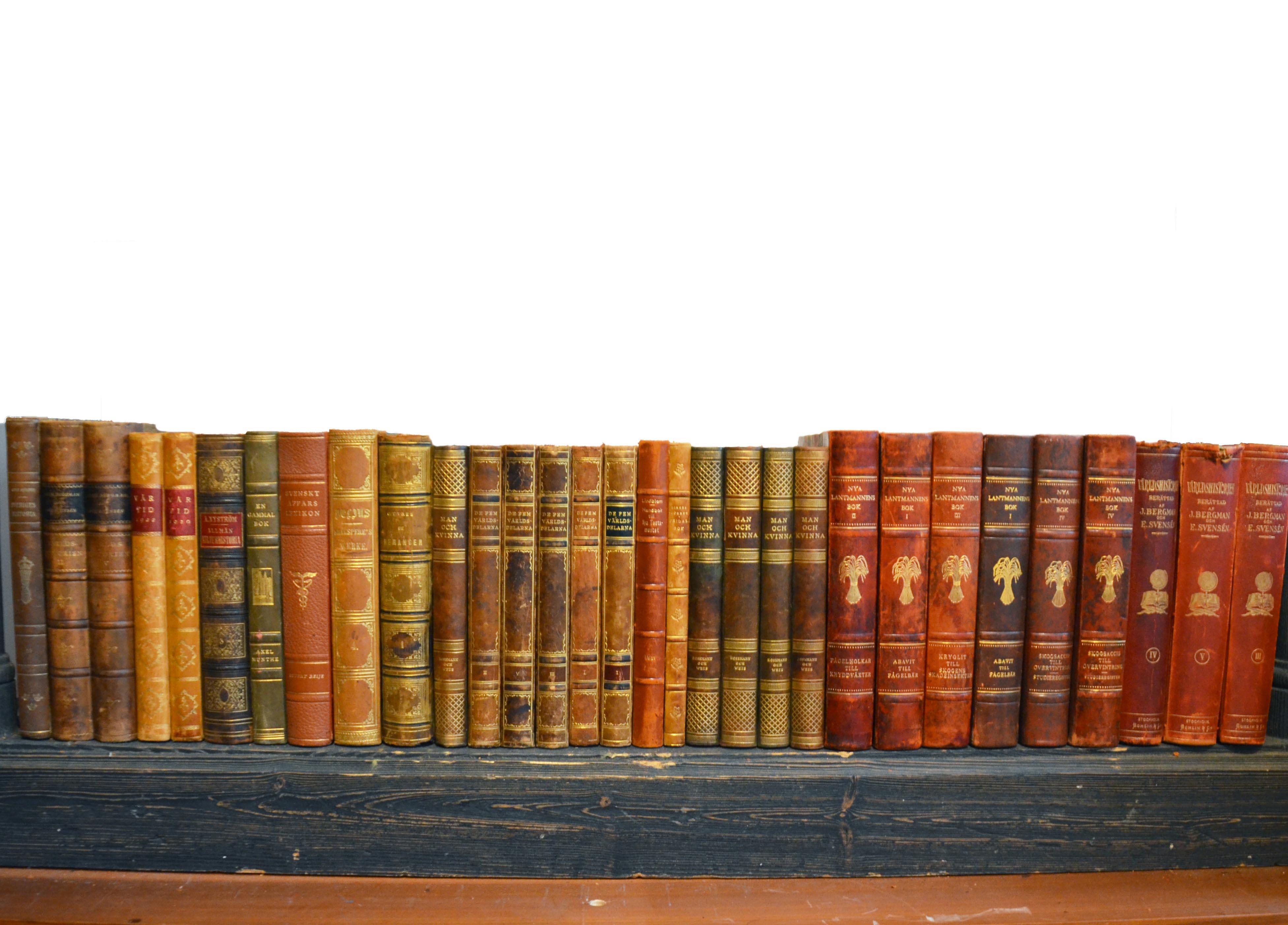 Collection of Leather Bound Books, Series 206 1