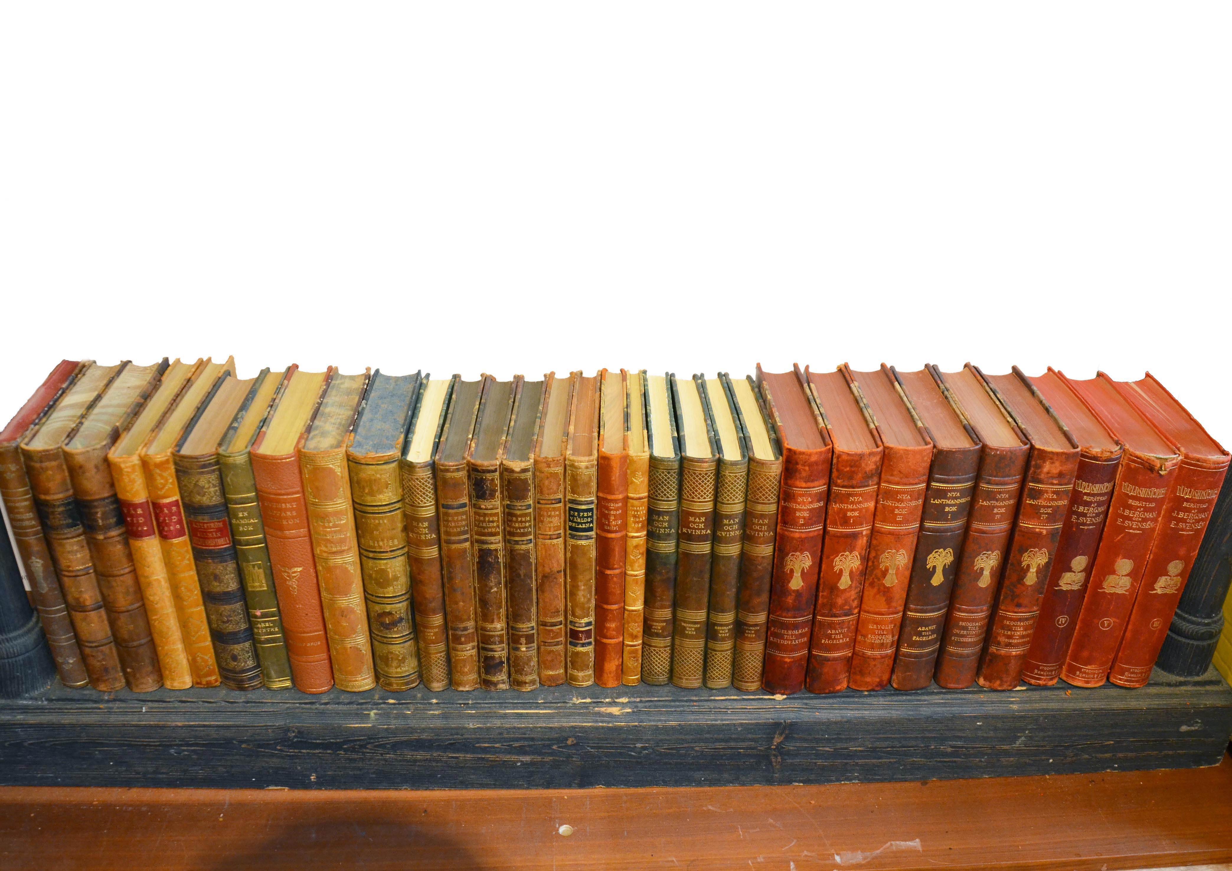 Collection of Leather Bound Books, Series 206 2